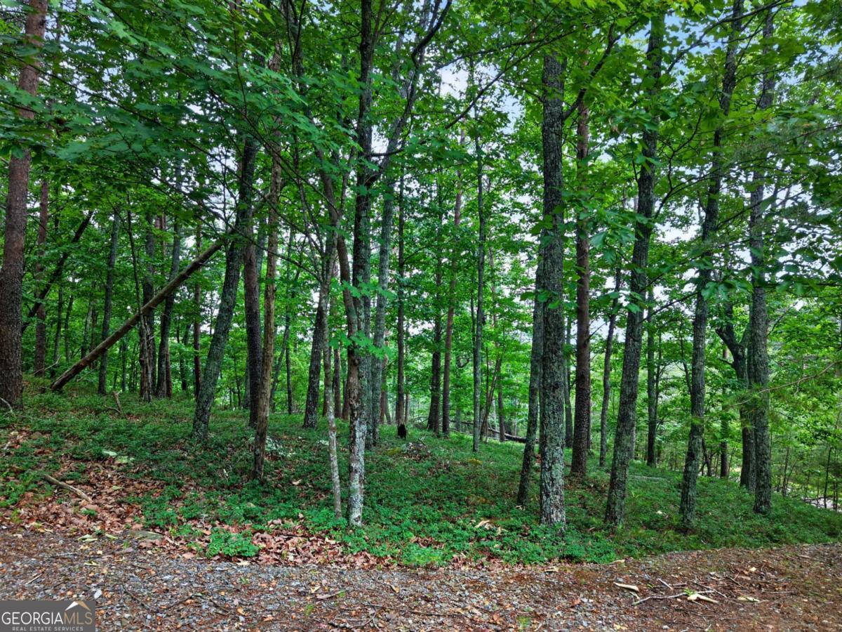 0 Ridgeside Court Property Photo 2
