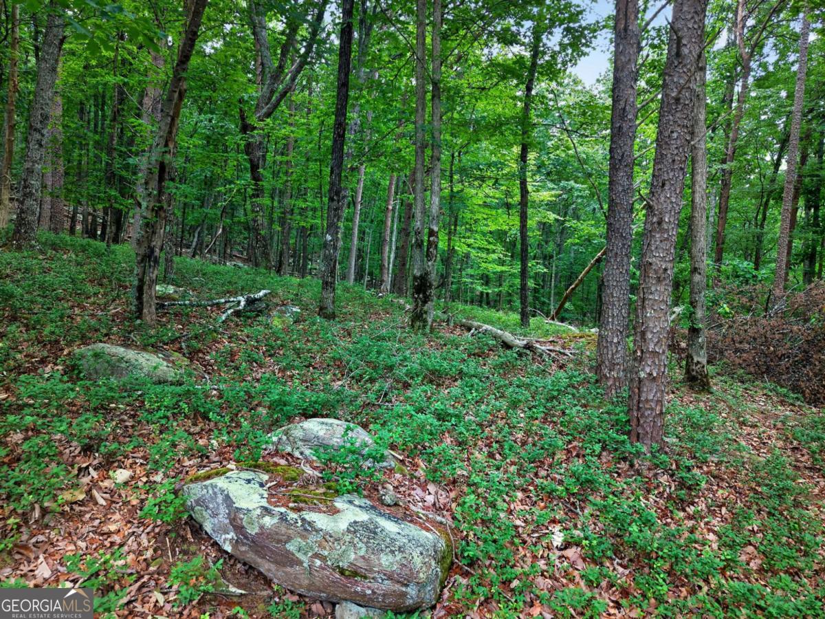 0 Ridgeside Court Property Photo 3