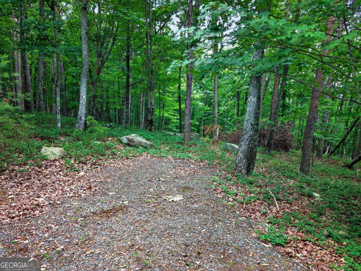 0 Ridgeside Court Property Photo 4