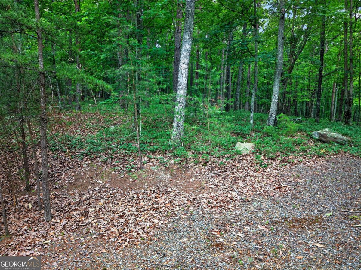 0 Ridgeside Court Property Photo 5