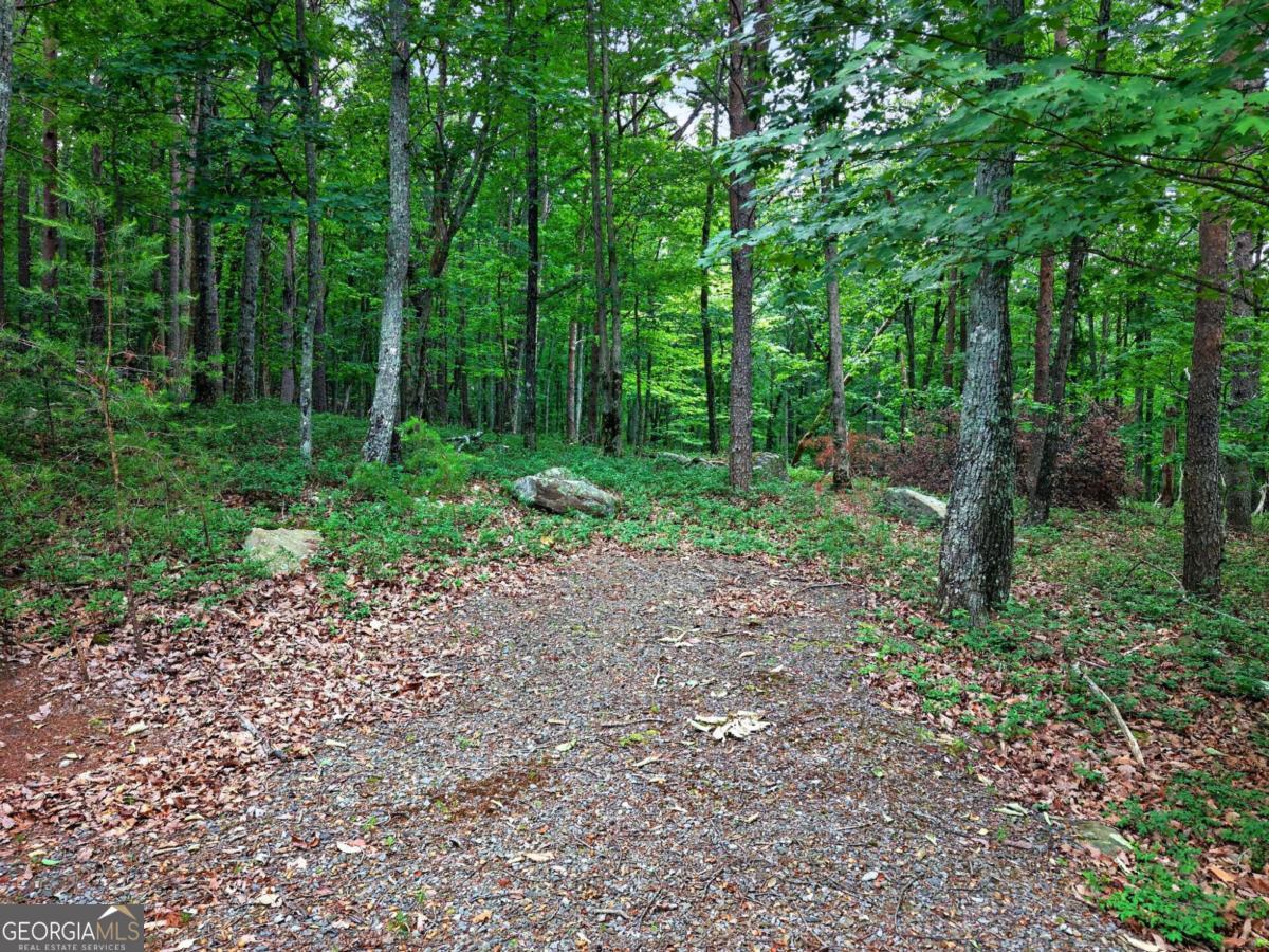 0 Ridgeside Court Property Photo 6
