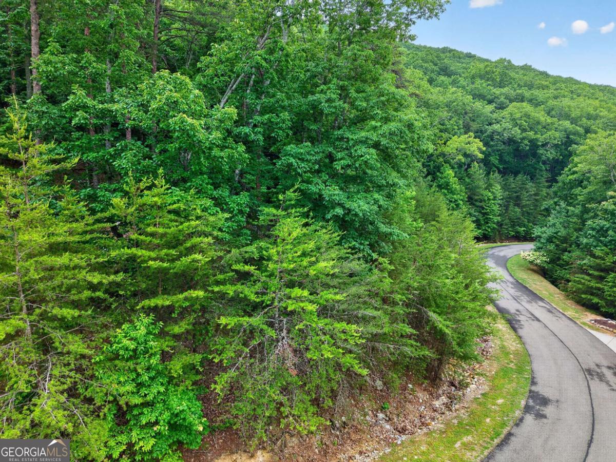 0 Ridgeside Court Property Photo 15