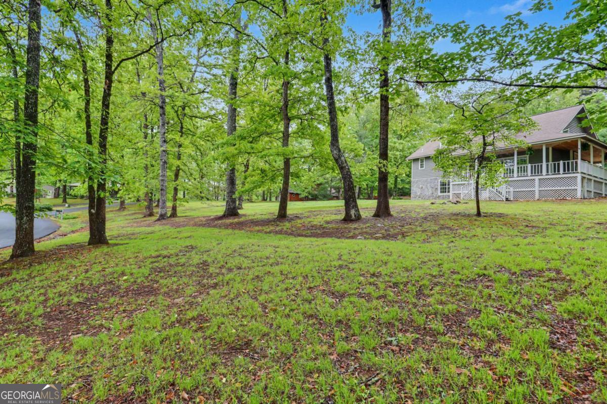 298 Notla Vista Ii Property Photo 62