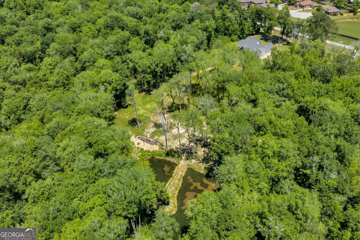466 Bear Branch Road Property Photo 115