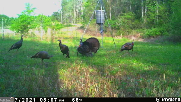 0 Rocky Mount Church Road Property Photo 9