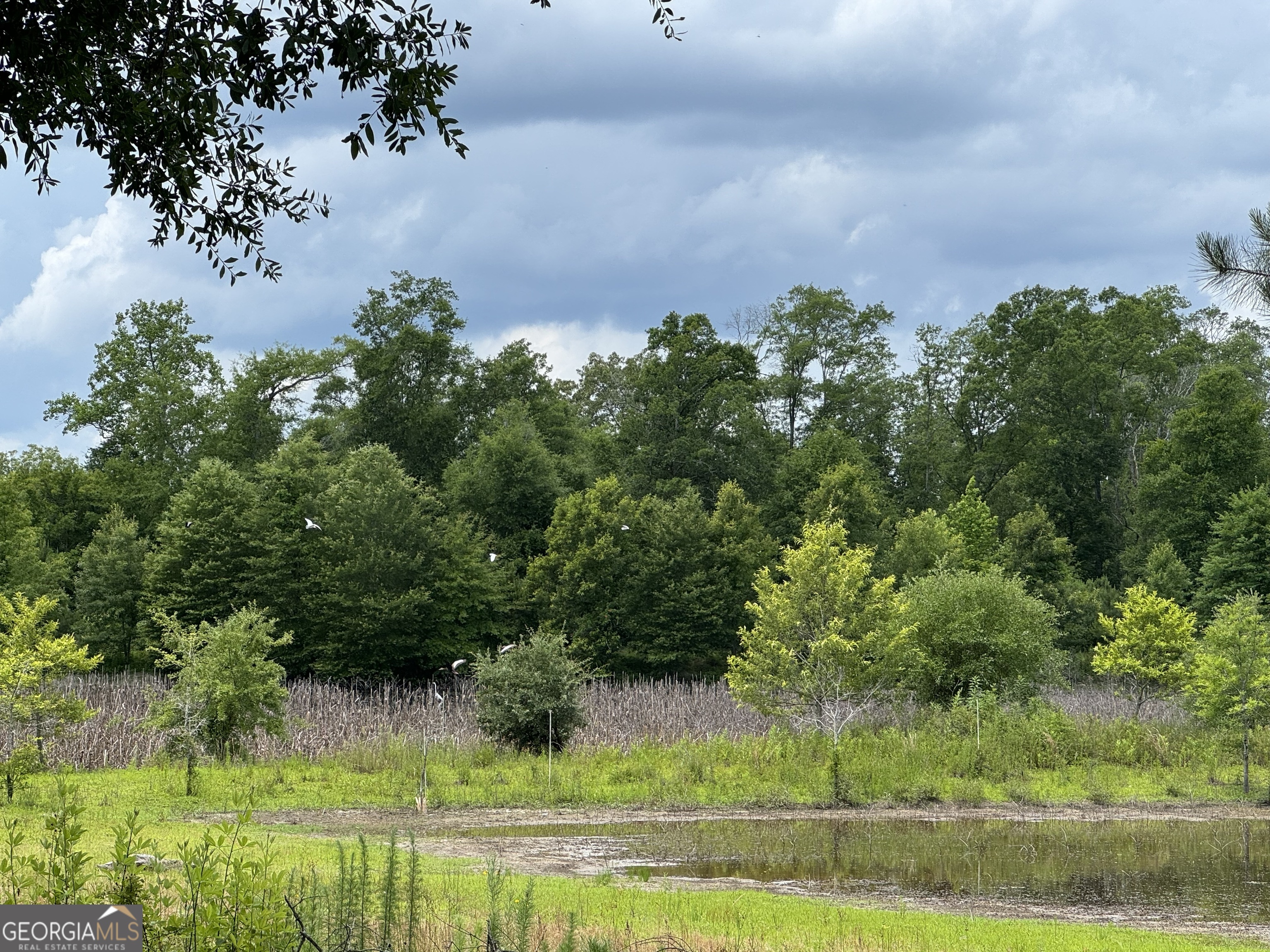 0 Rocky Mount Church Road Property Photo 18
