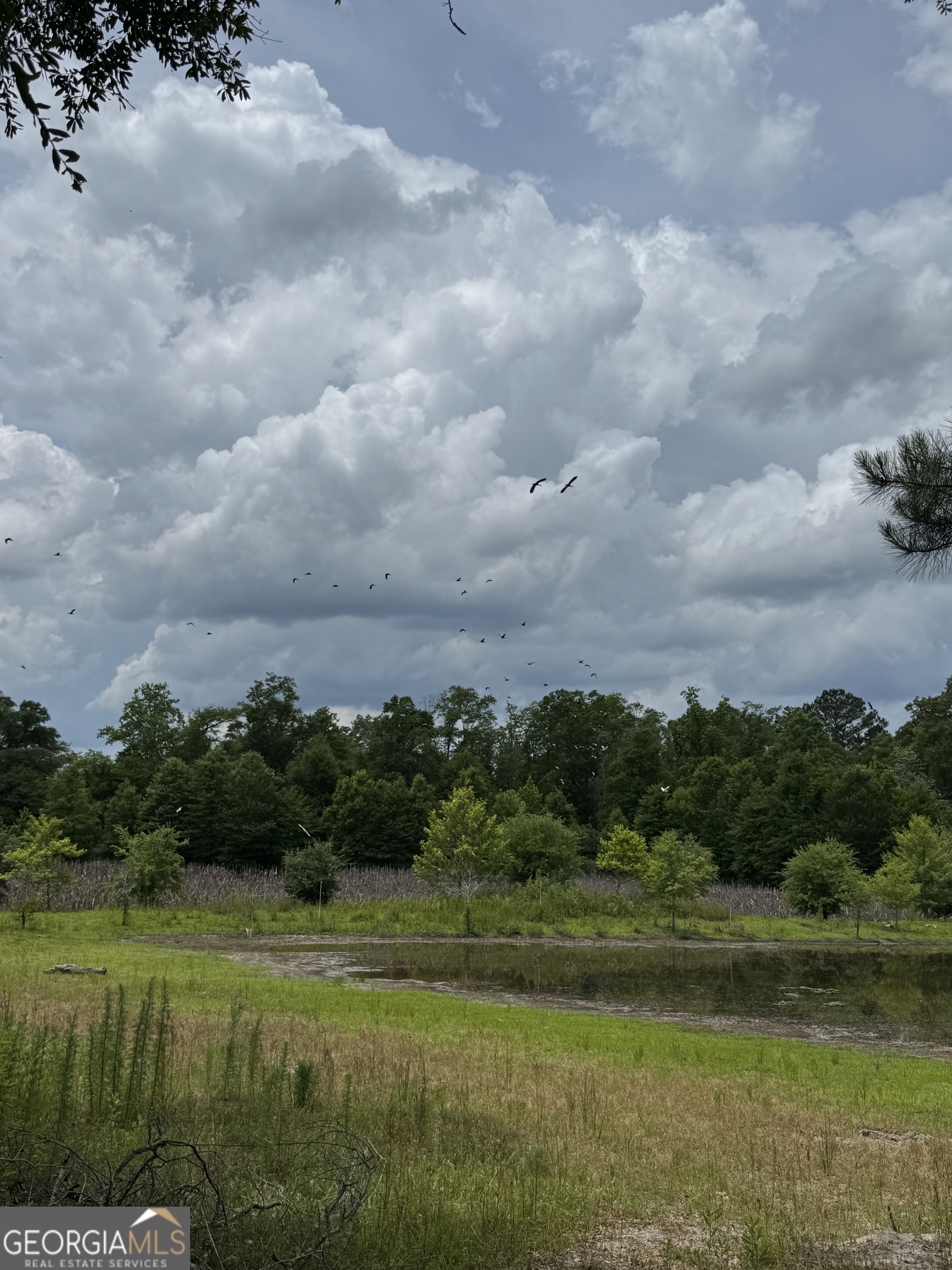 0 Rocky Mount Church Road Property Photo 19