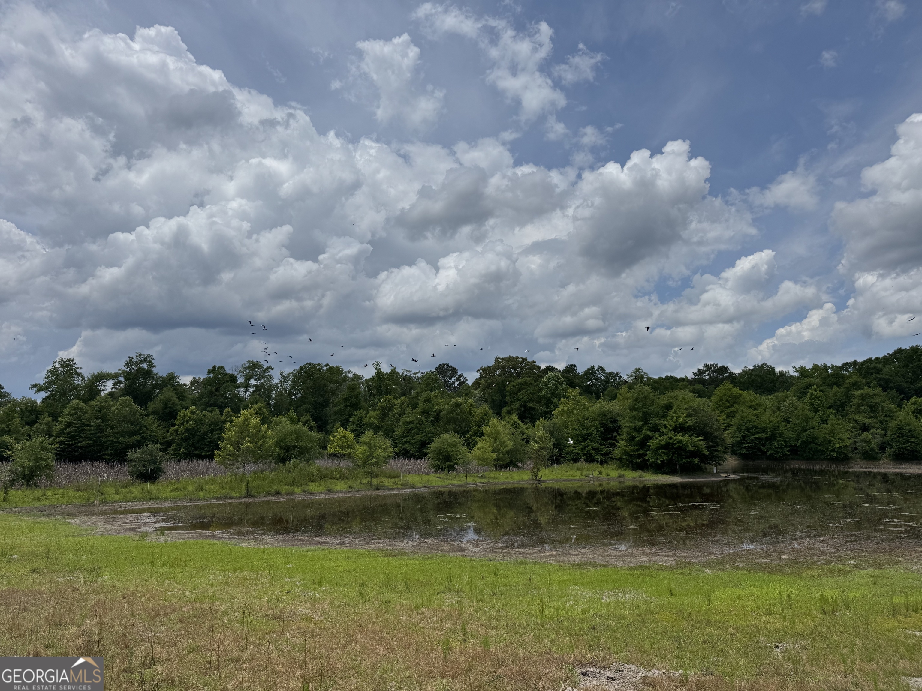 0 Rocky Mount Church Road Property Photo 21