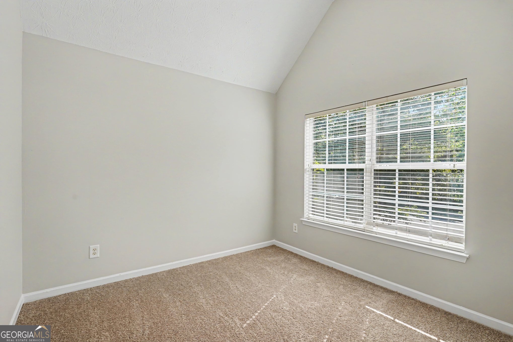 1729 Birkshire Ridge Property Photo 26