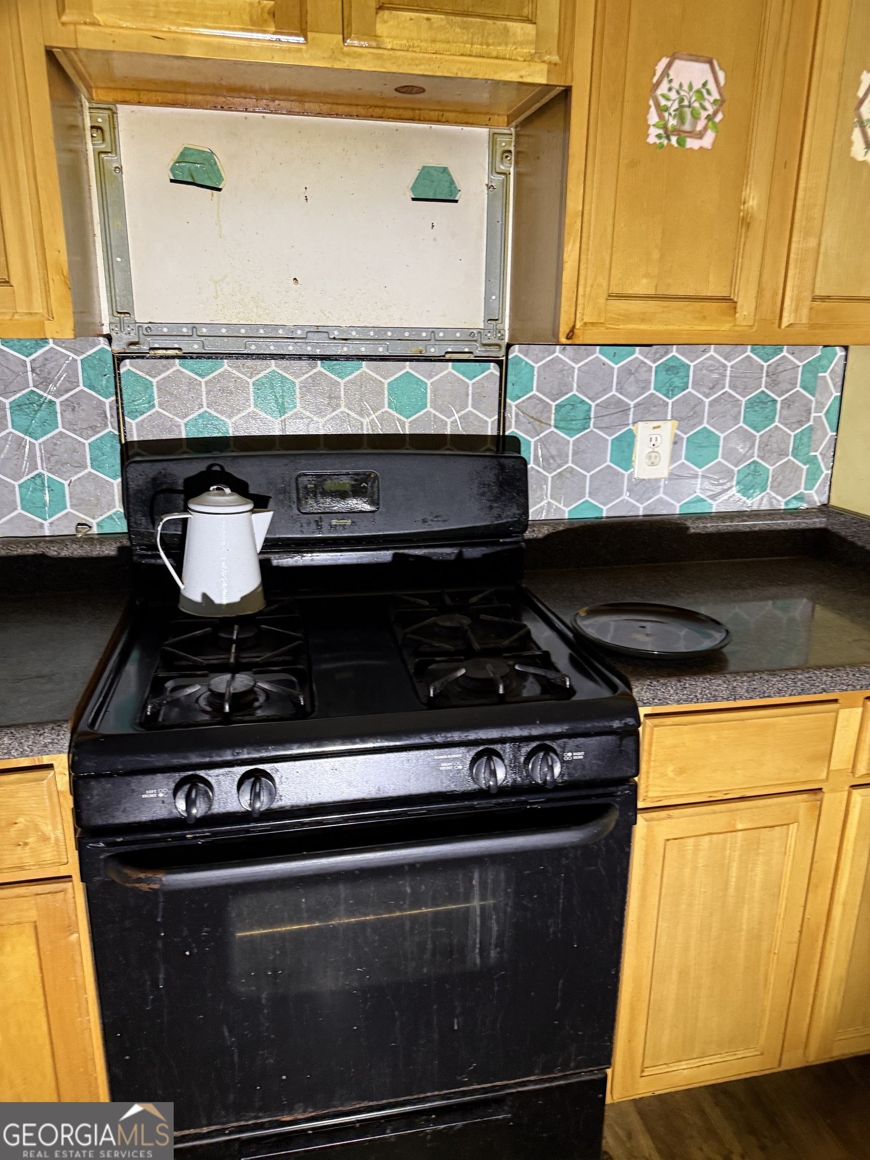 11631 Kades Trail Property Photo 4