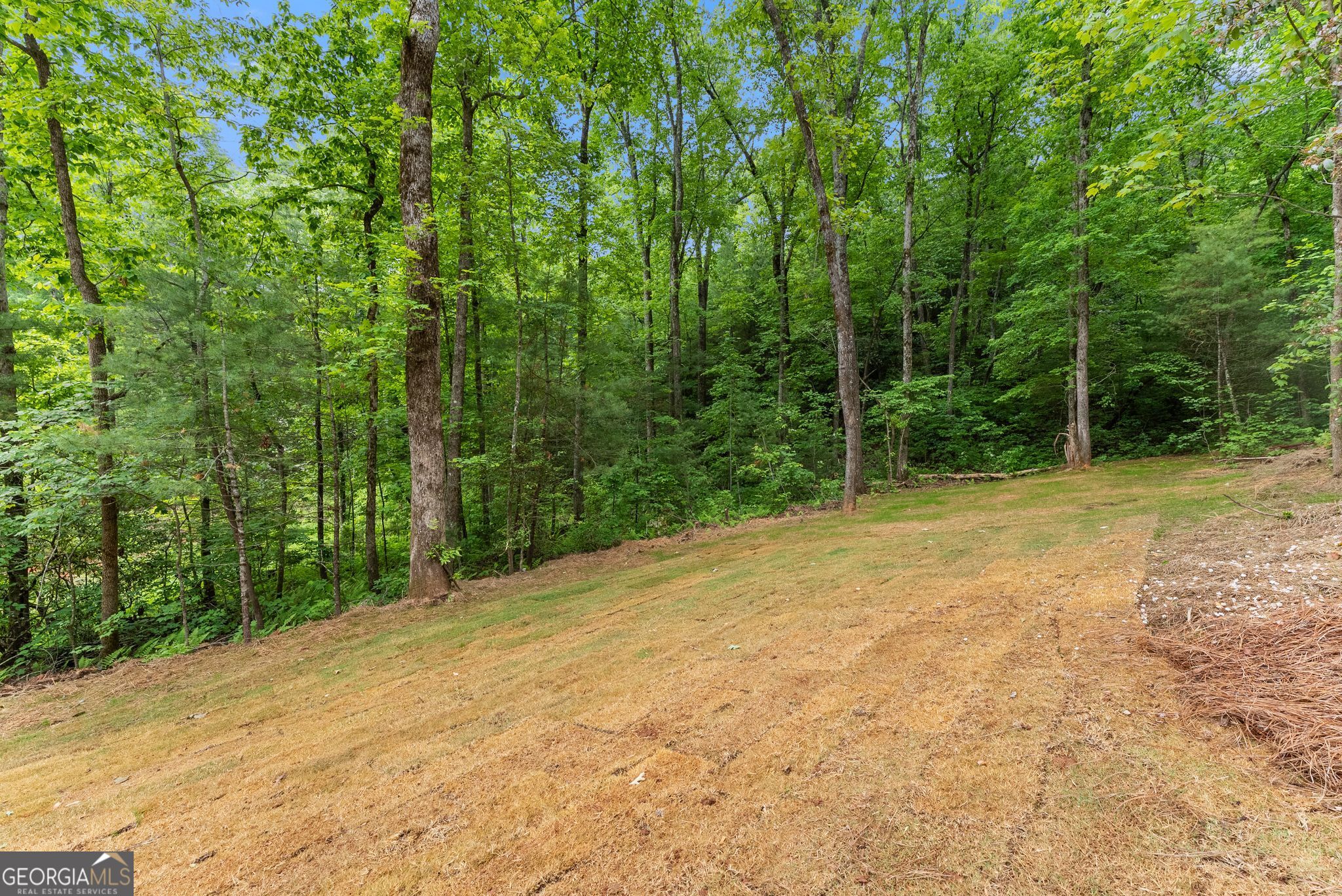 286 Frances Drive Property Photo 49