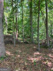0 Poplar Place Property Photo 8