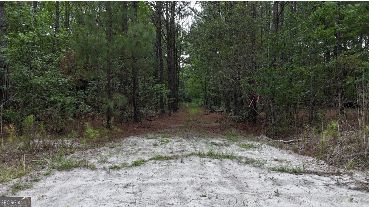 0 Duck Pond Road Property Photo 1