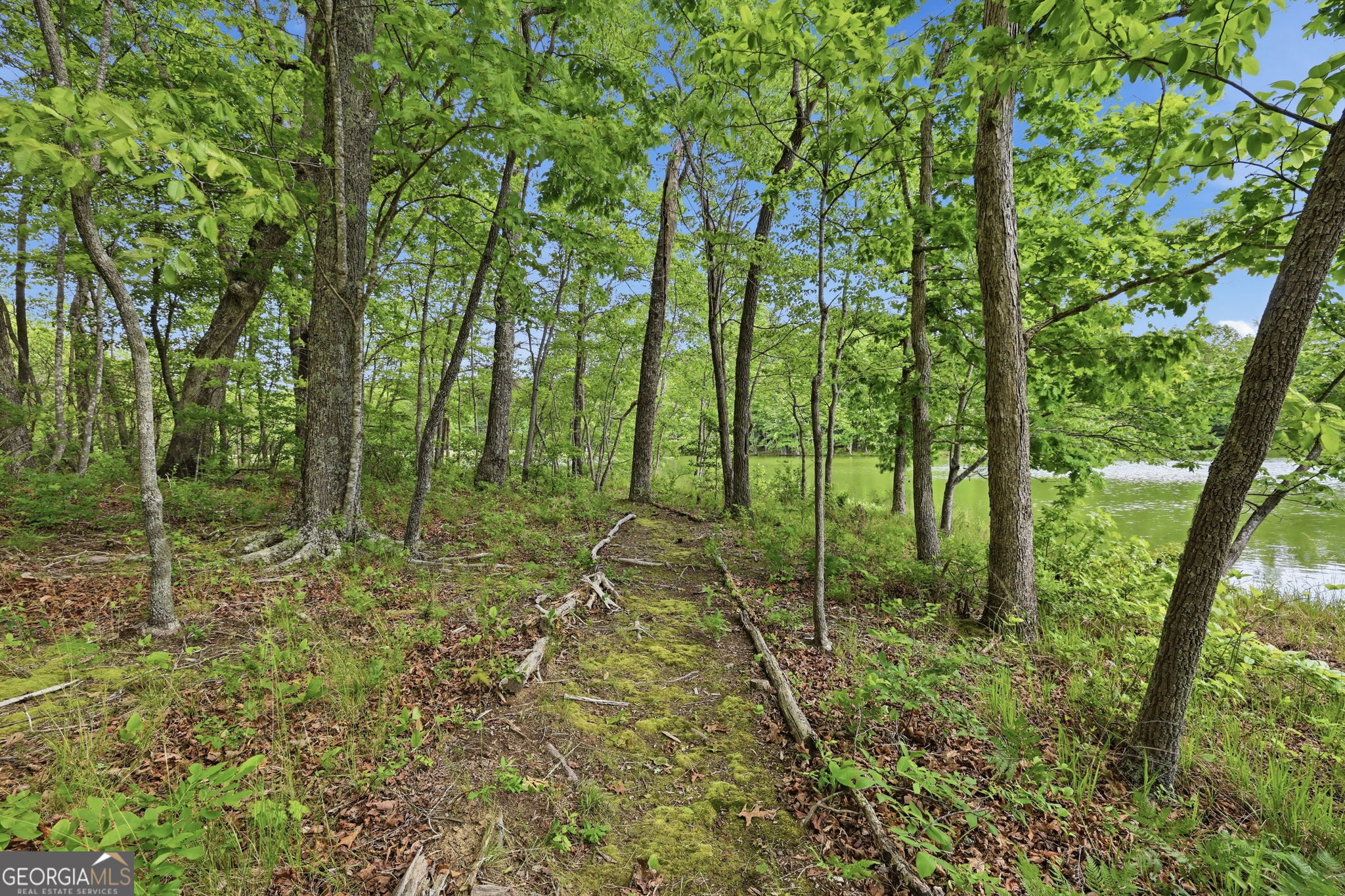 479 Lake Loop Road Property Photo 45