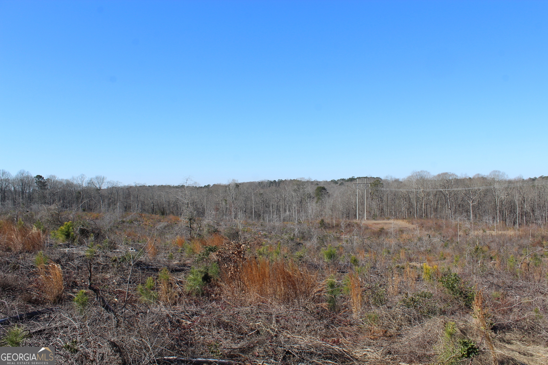 57+/- Ac Victory Road Property Photo 2