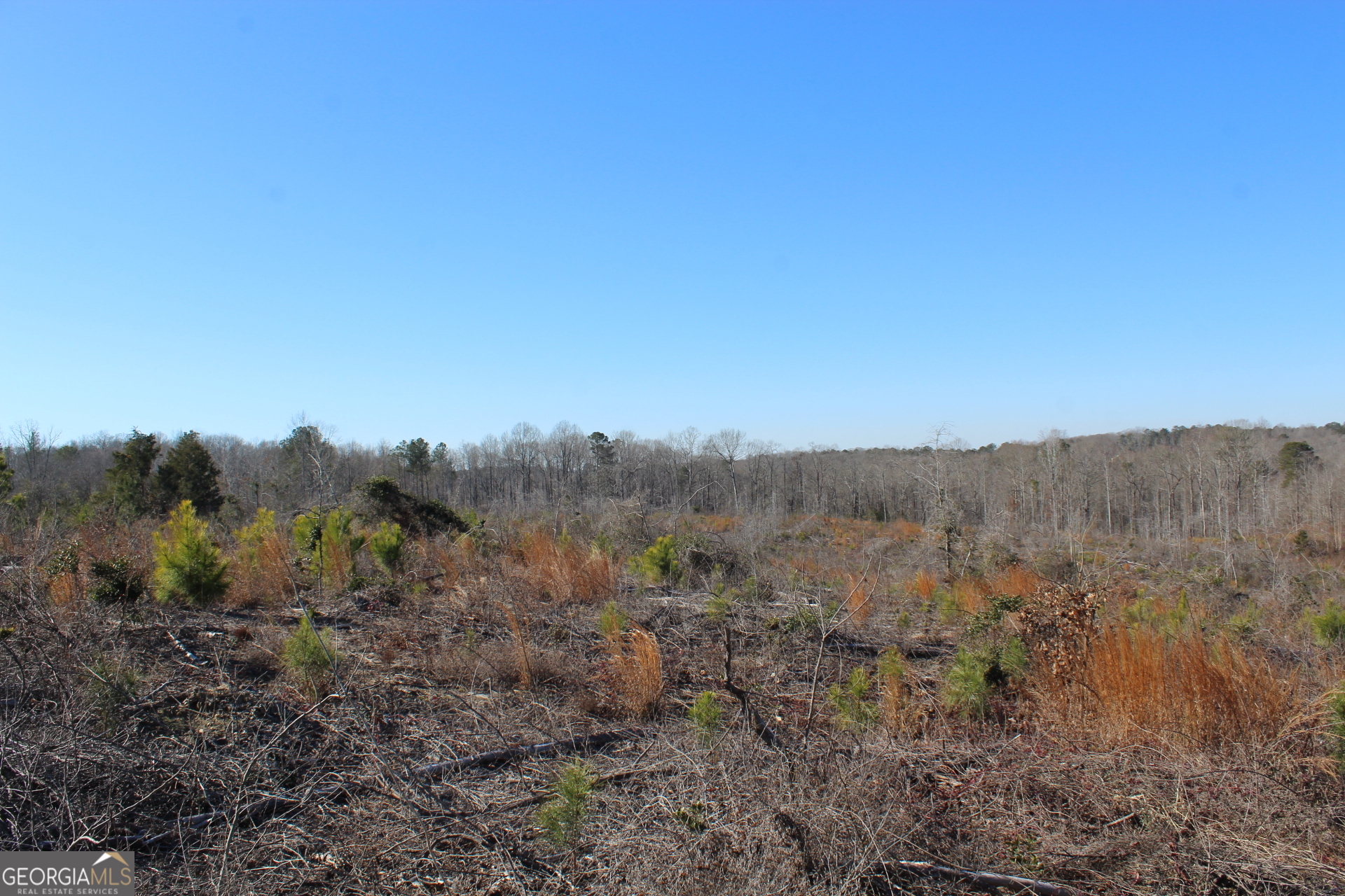57+/- Ac Victory Road Property Photo 3