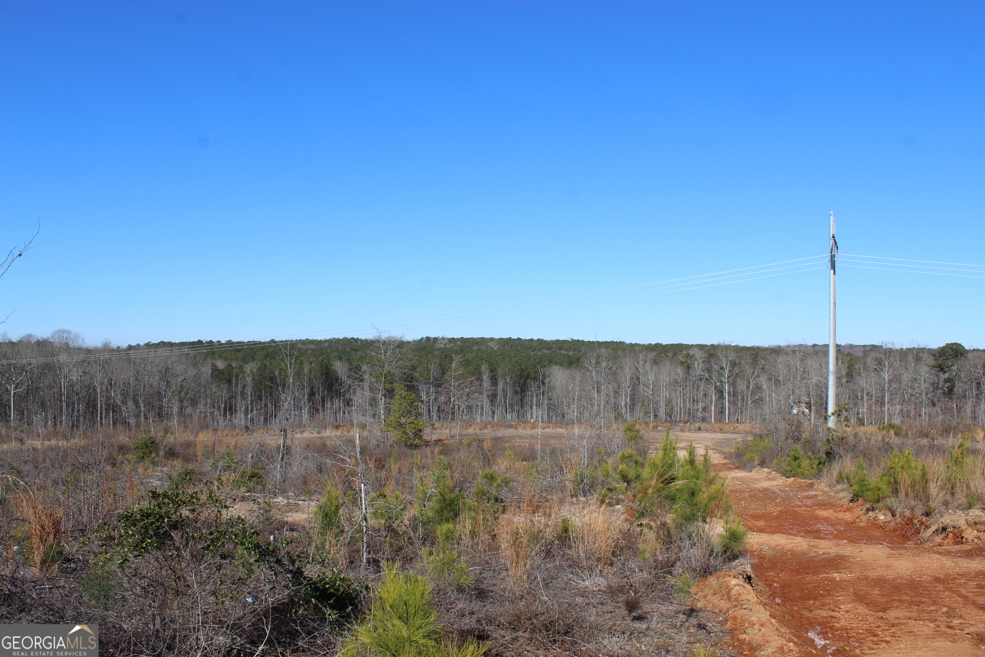 57+/- Ac Victory Road Property Photo 4