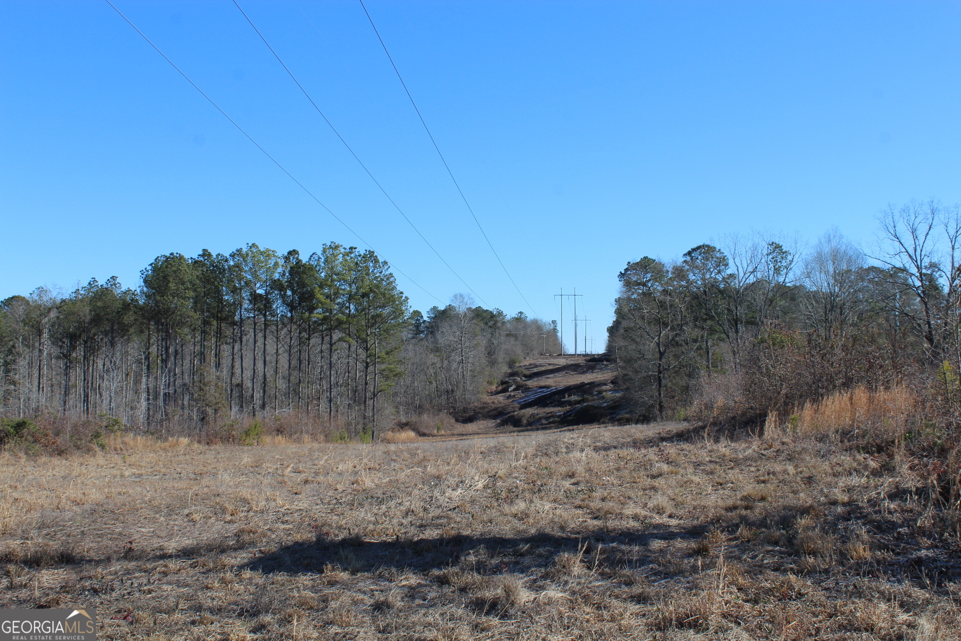 57+/- Ac Victory Road Property Photo 5