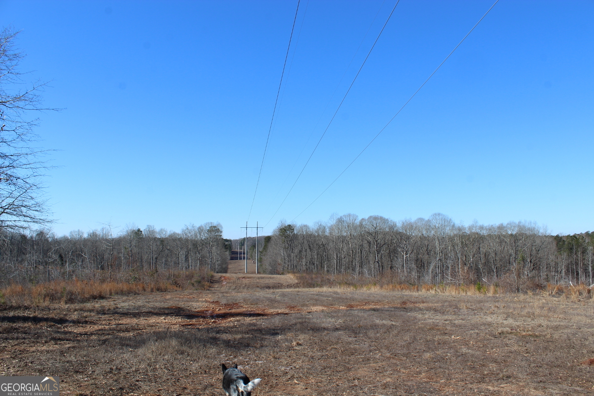 57+/- Ac Victory Road Property Photo 6