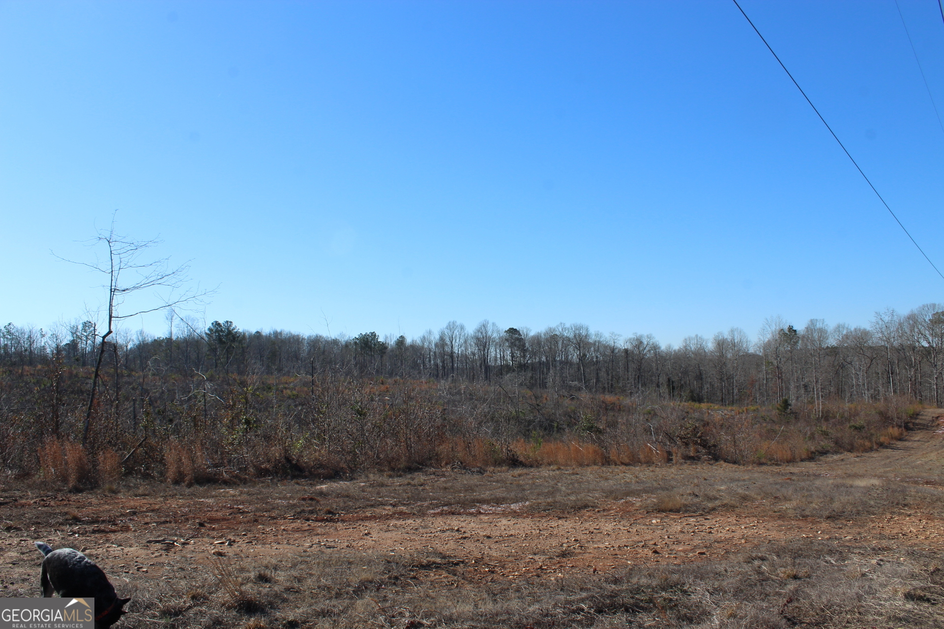 57+/- Ac Victory Road Property Photo 7