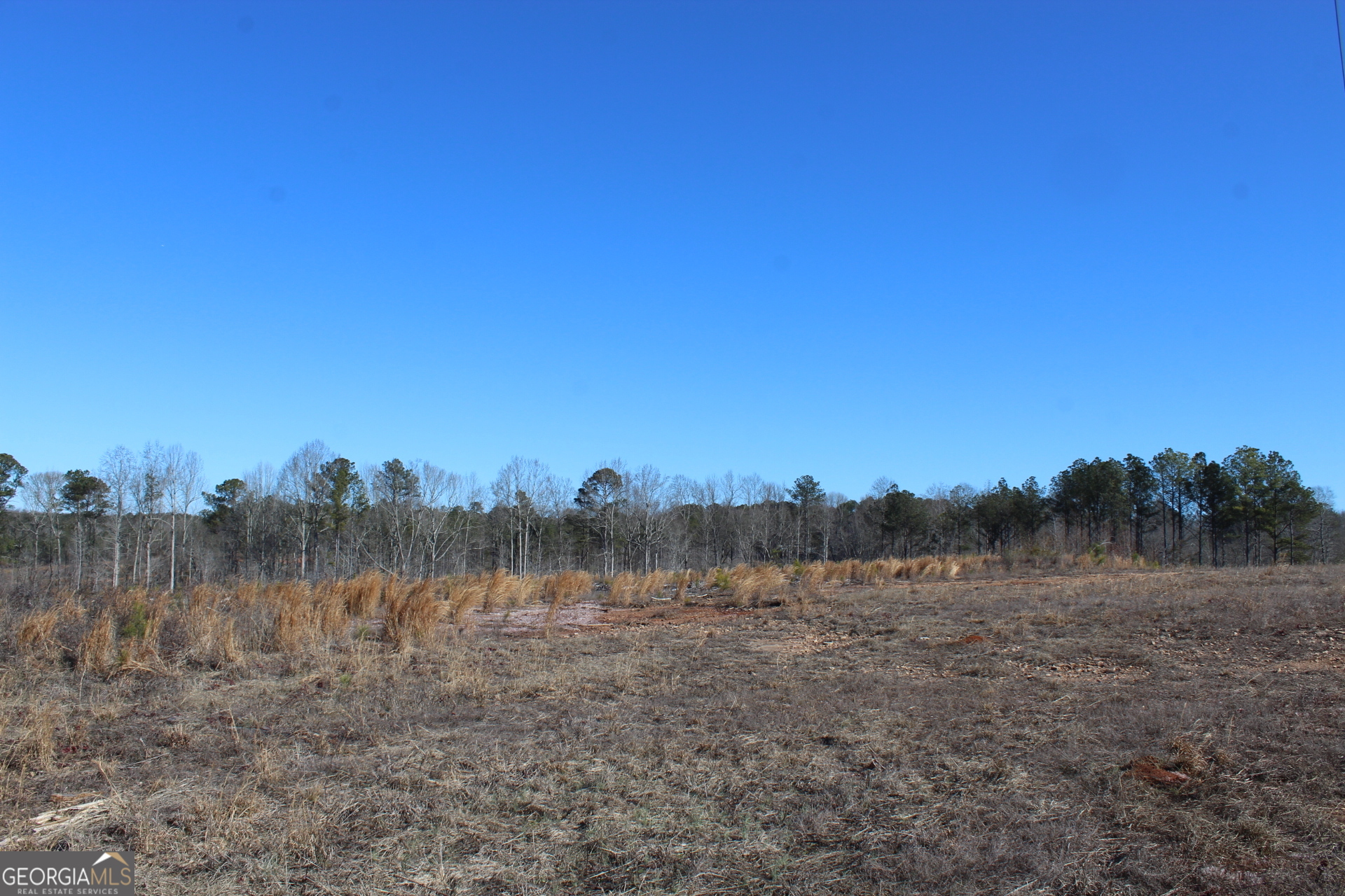 57+/- Ac Victory Road Property Photo 8