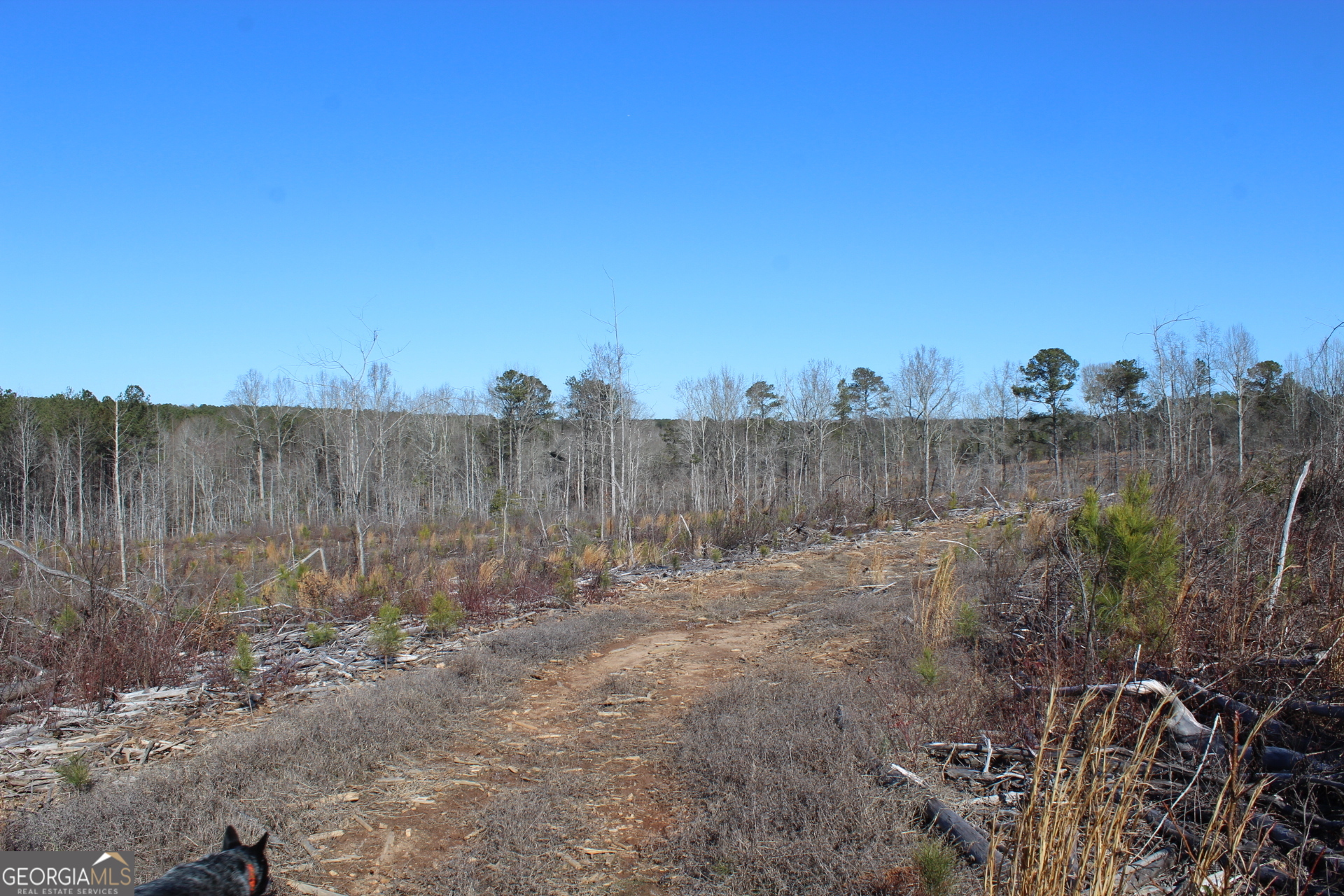 57+/- Ac Victory Road Property Photo 9
