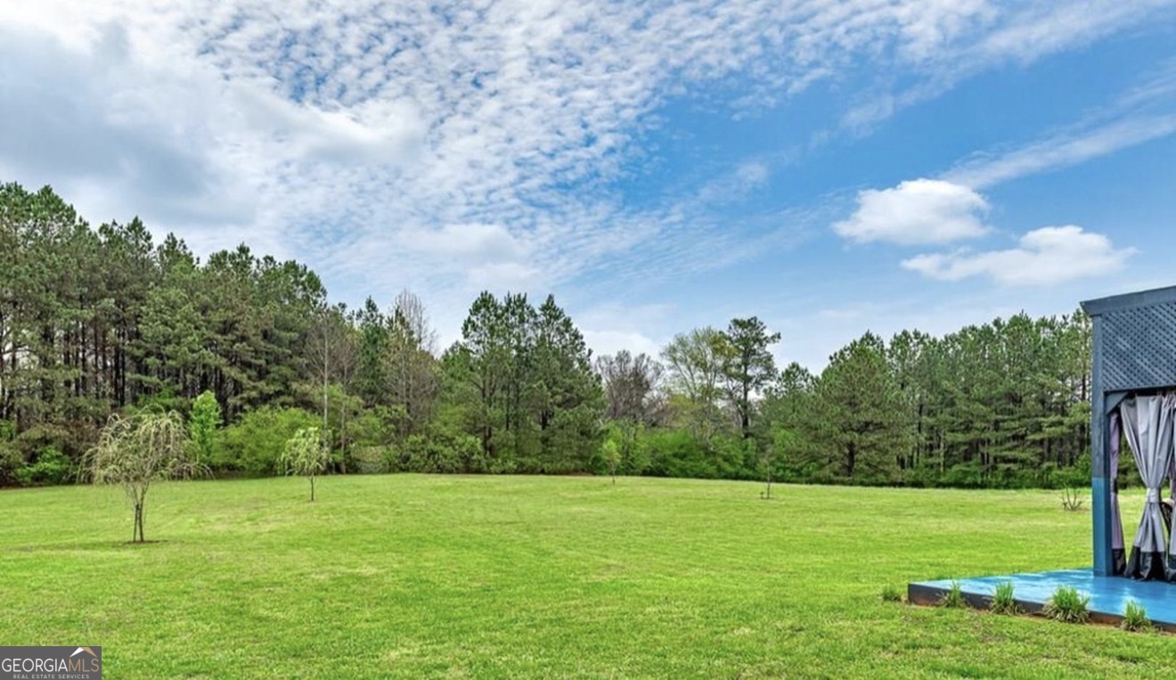 145 Thistlewood Lane Property Photo 4