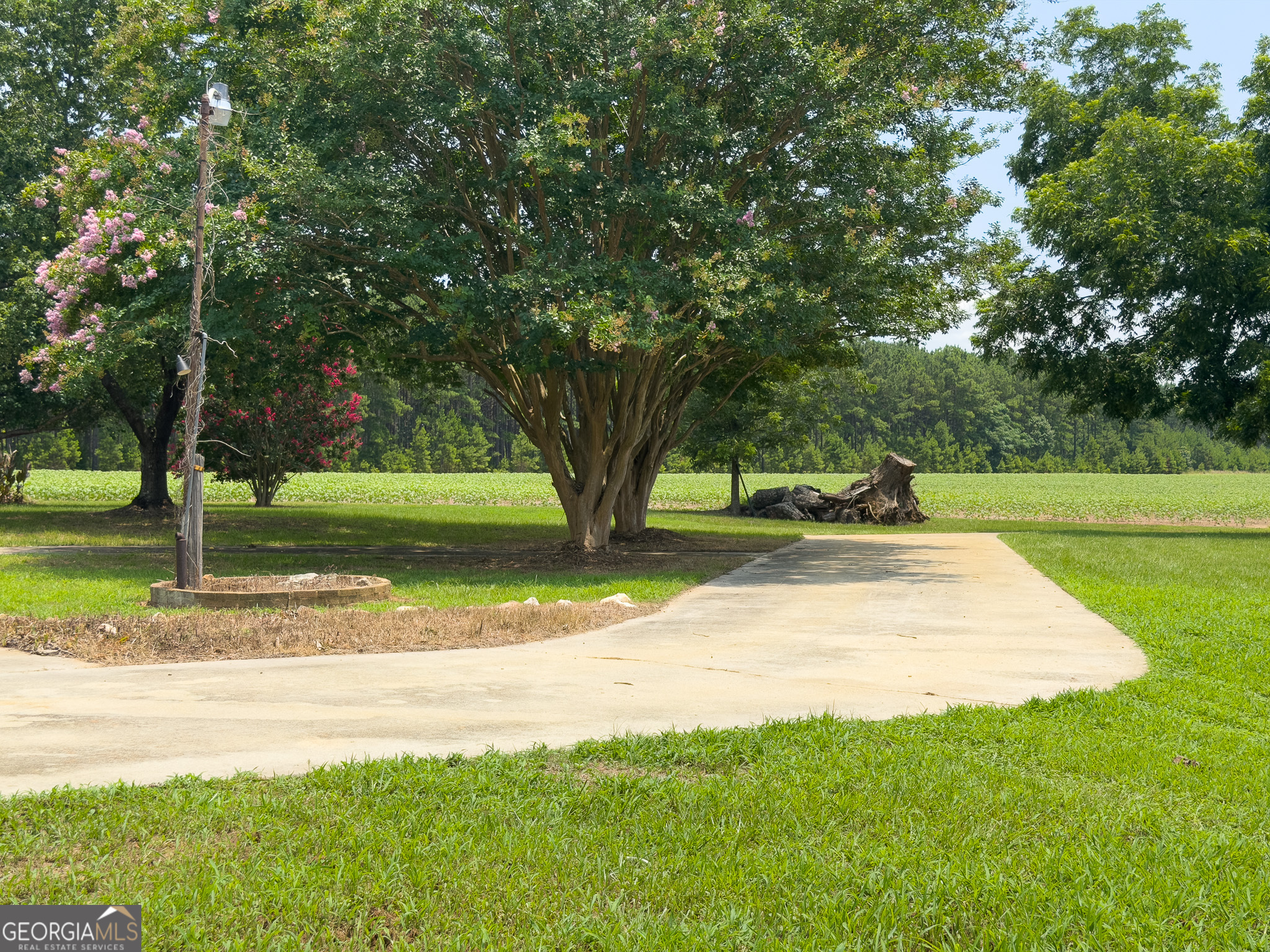 1300 Terry Drive Property Photo 31
