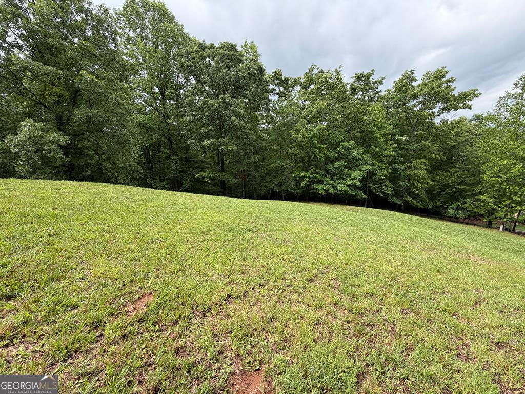 0 Drake Ridge Lane Property Photo 4