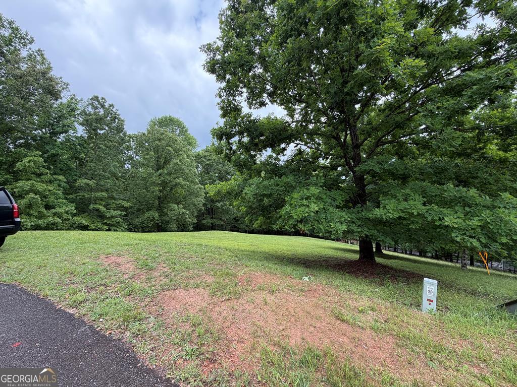 0 Drake Ridge Lane Property Photo 5