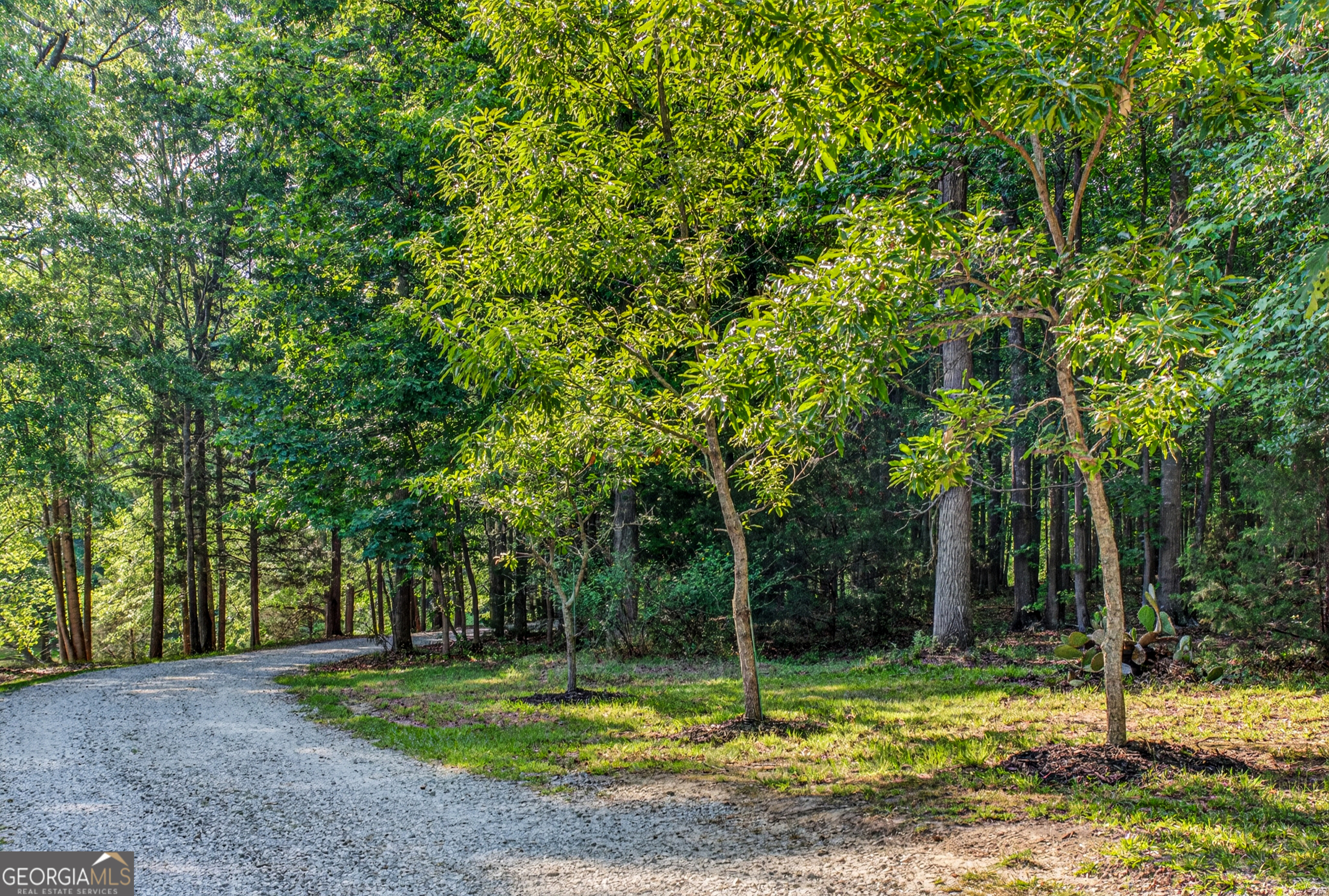 135 Canters Run Property Photo 92