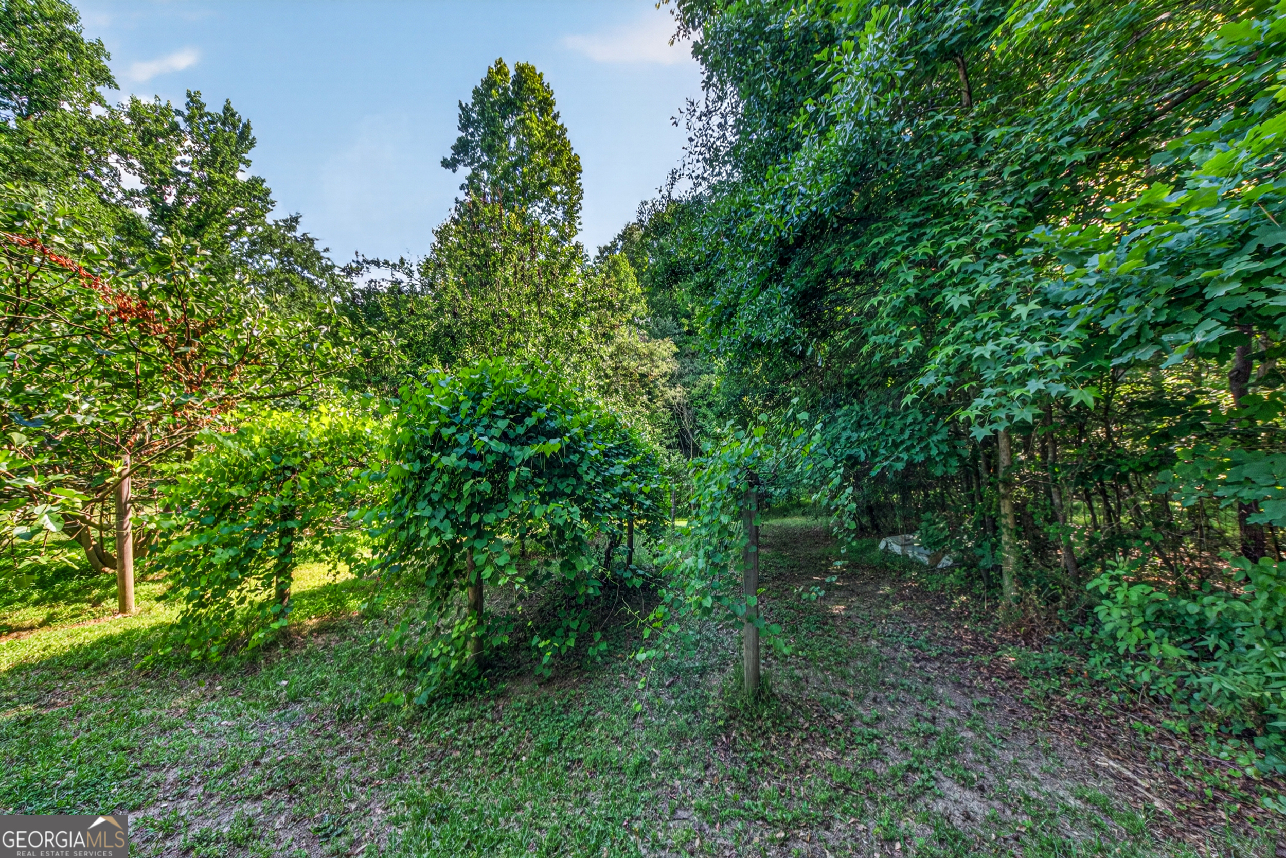 135 Canters Run Property Photo 96