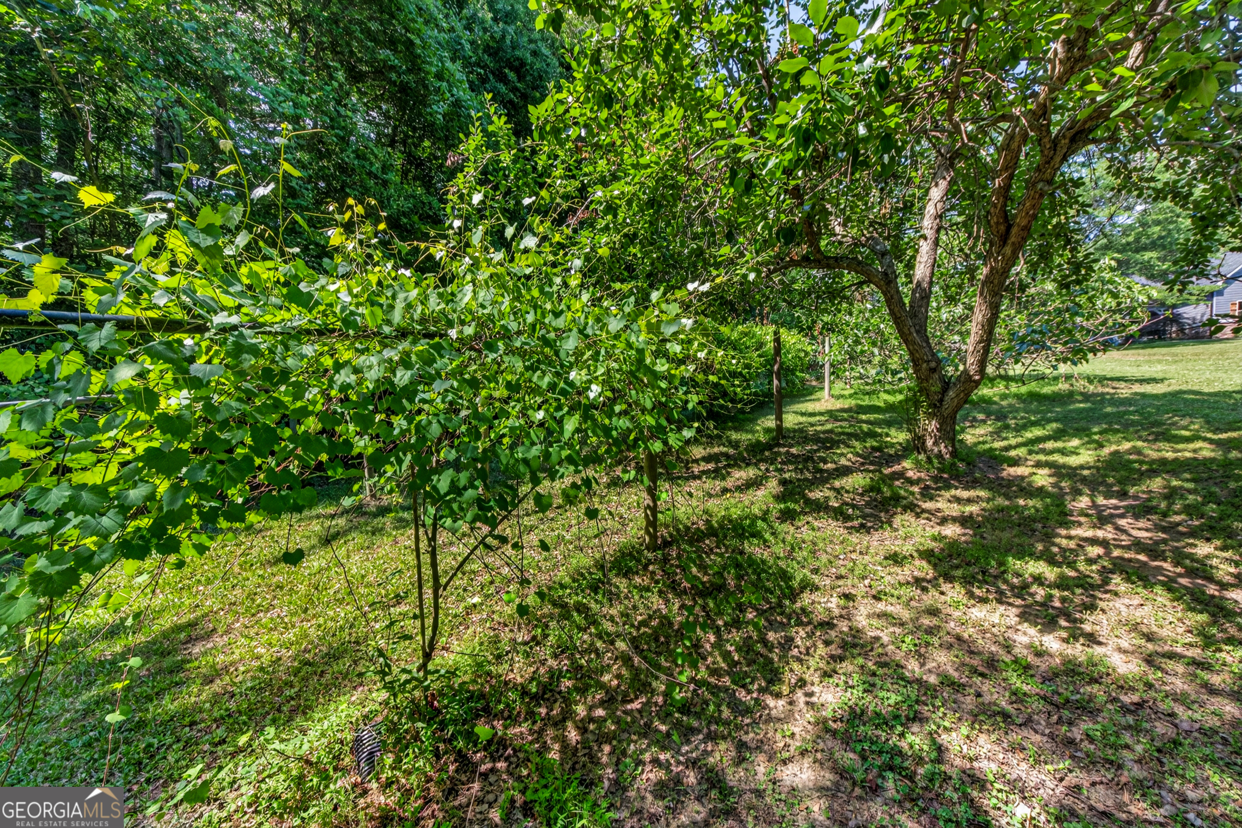 135 Canters Run Property Photo 97