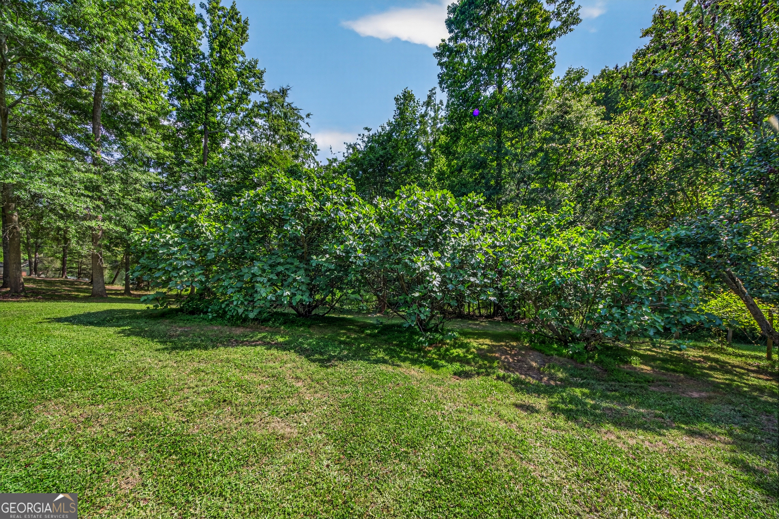 135 Canters Run Property Photo 98