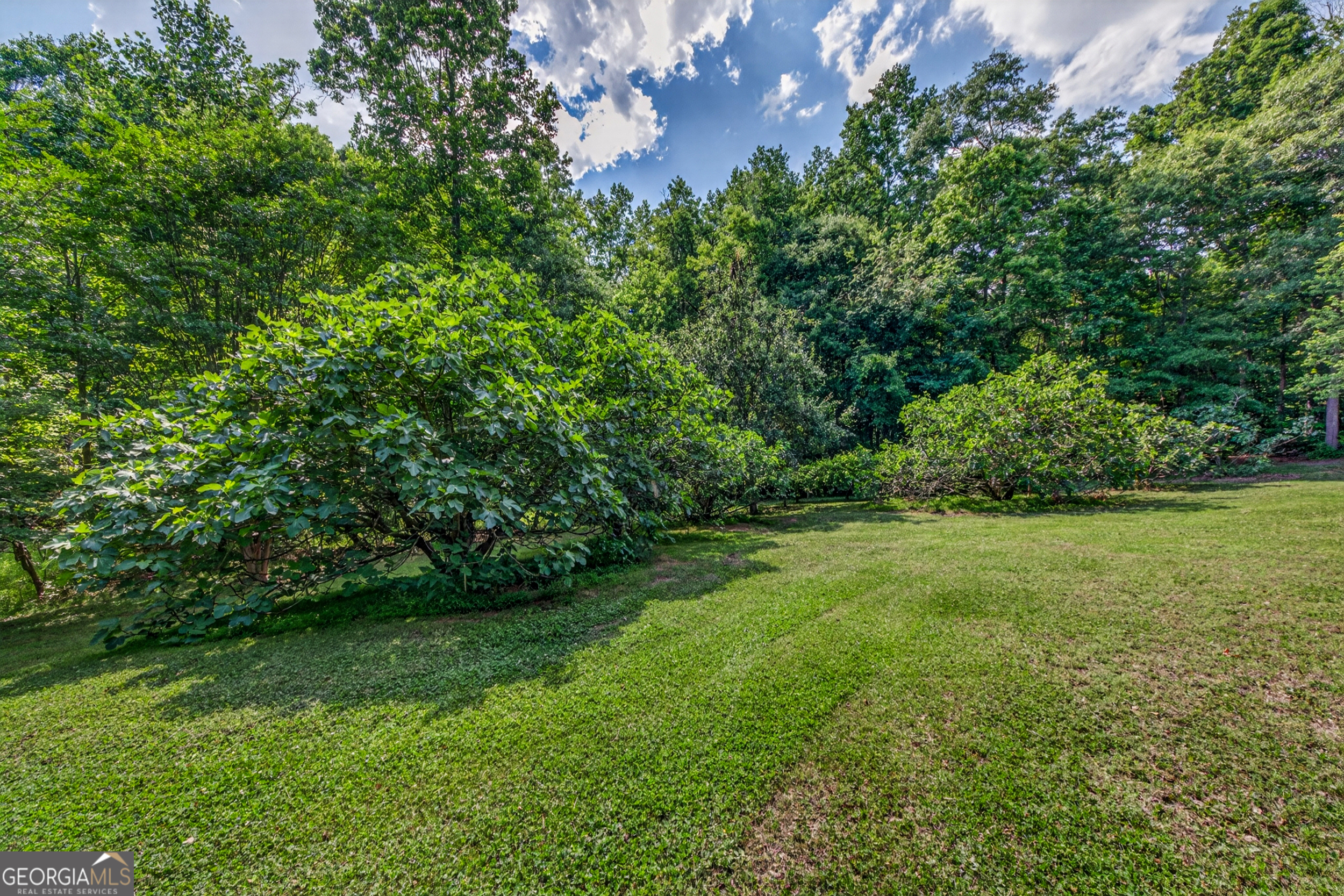 135 Canters Run Property Photo 99