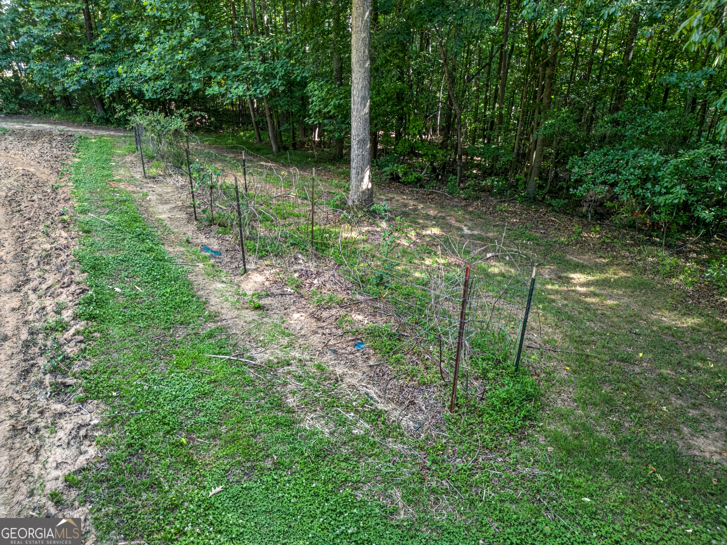 135 Canters Run Property Photo 104