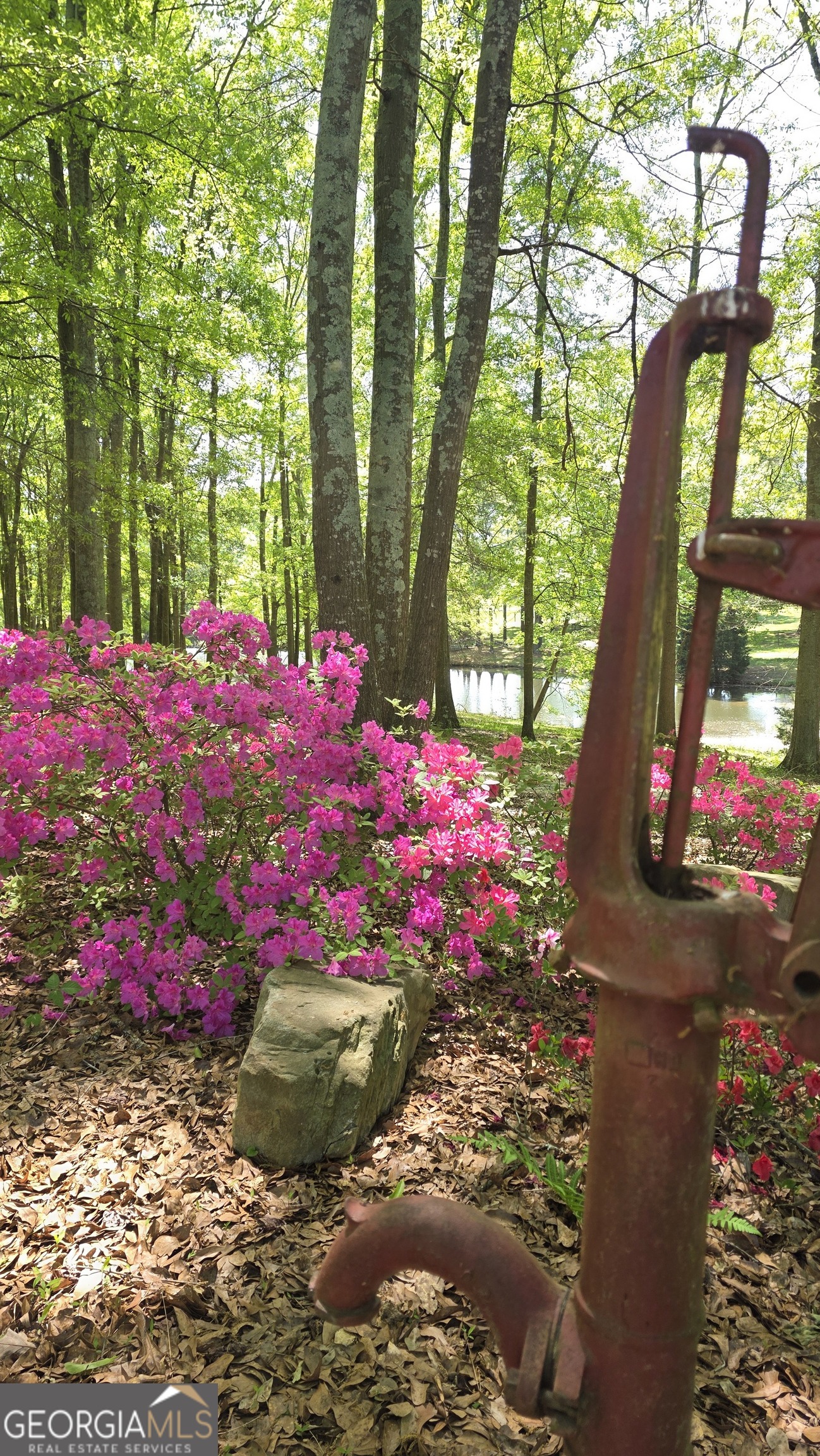 135 Canters Run Property Photo 112