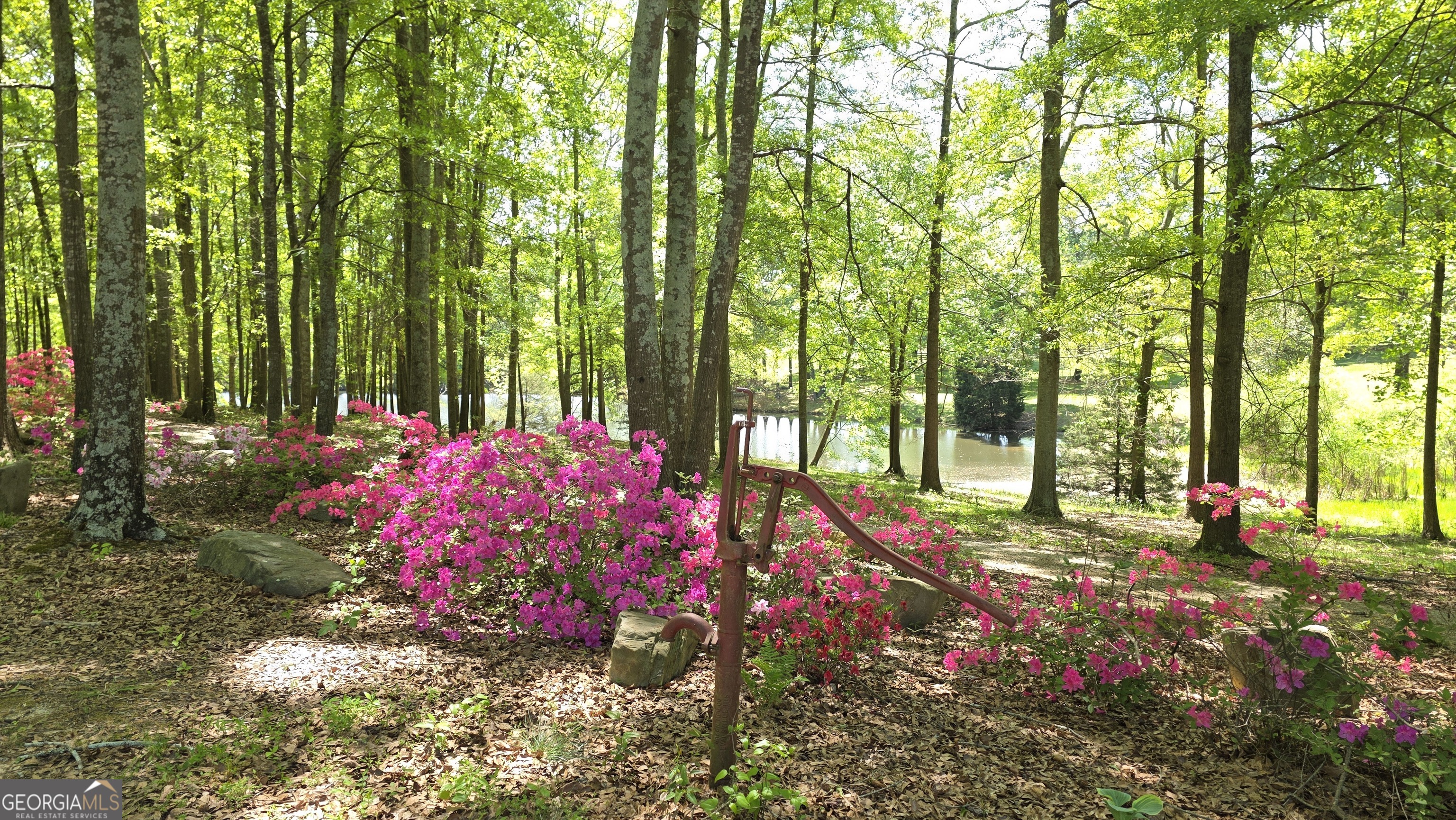 135 Canters Run Property Photo 114