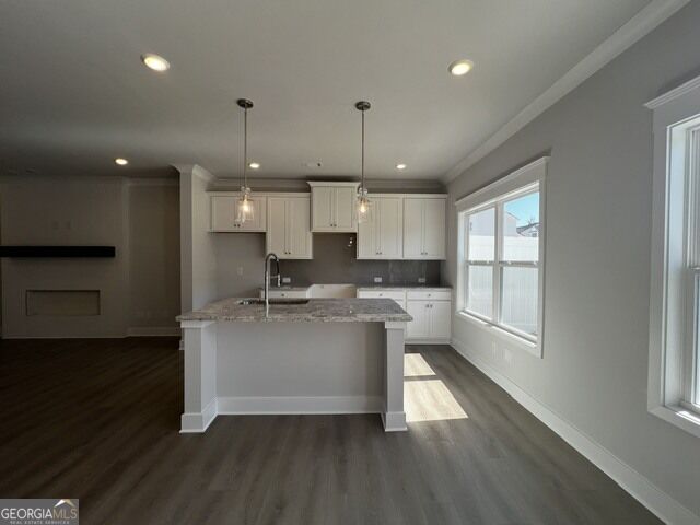 4861 Orchard Grove Way Property Photo 3