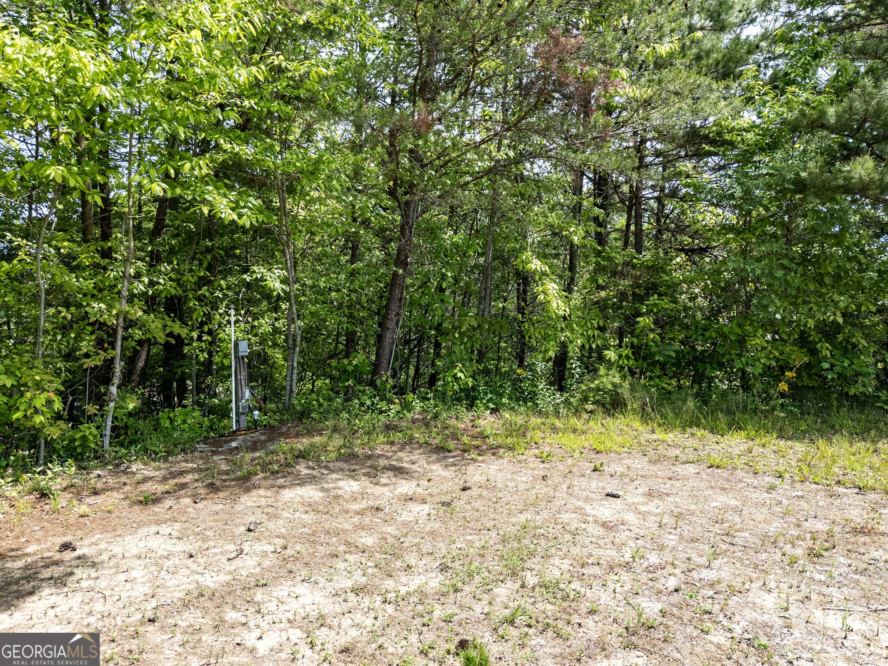 3674 Us 19 Property Photo 18