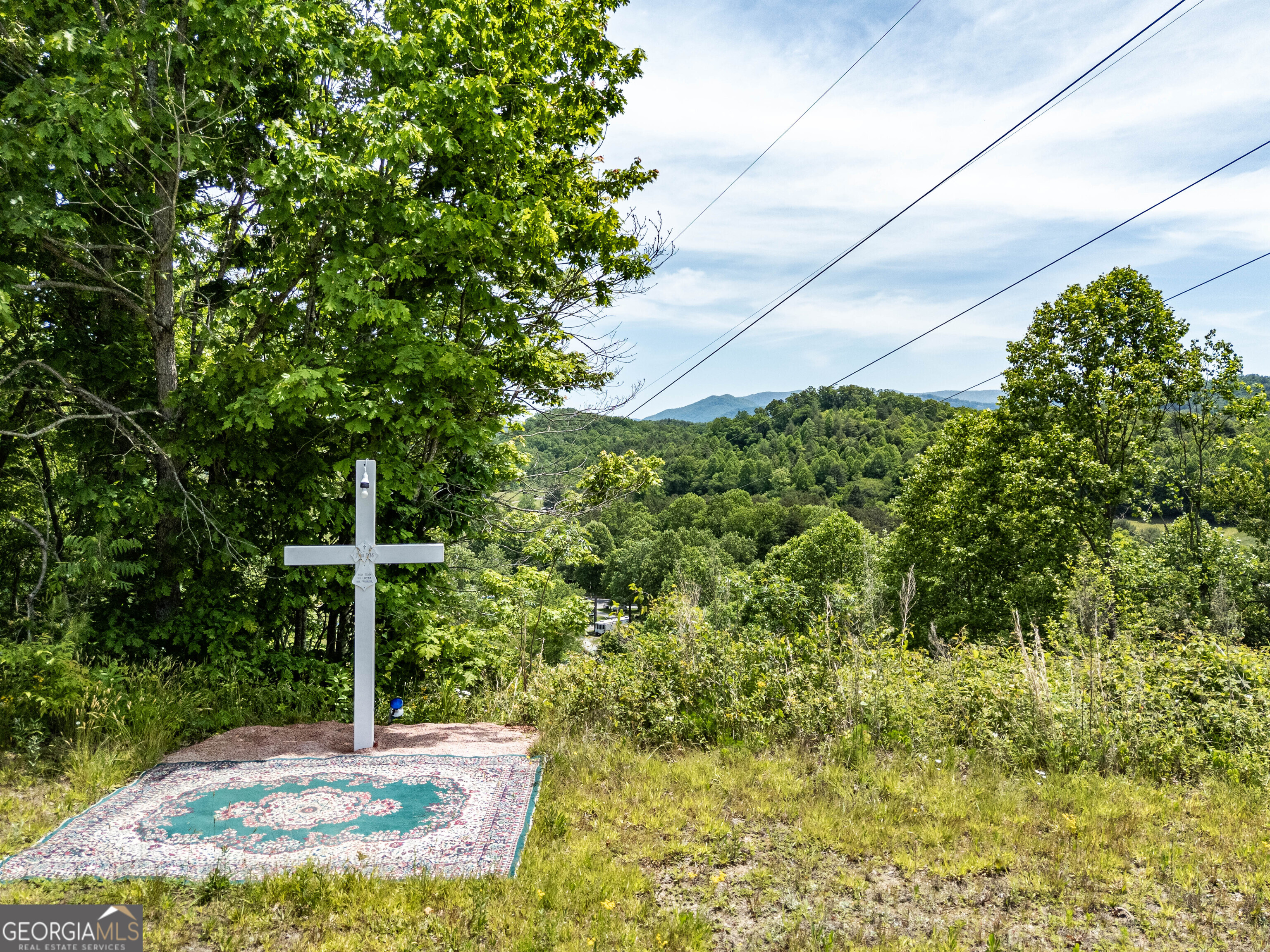 3674 Us 19 Property Photo 19