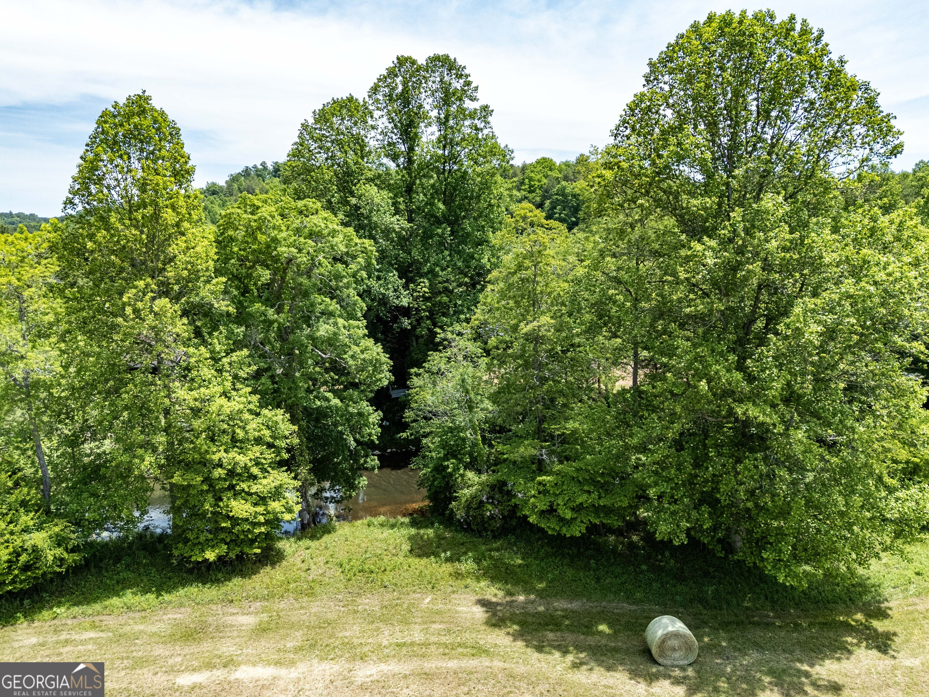 3674 Us 19 Property Photo 31