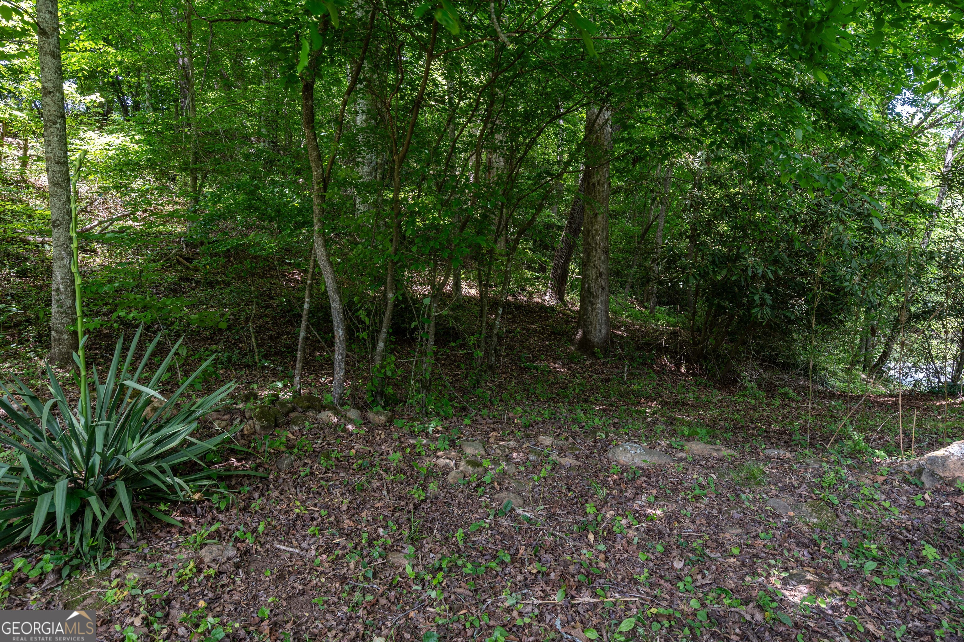 3674 Us 19 Property Photo 33