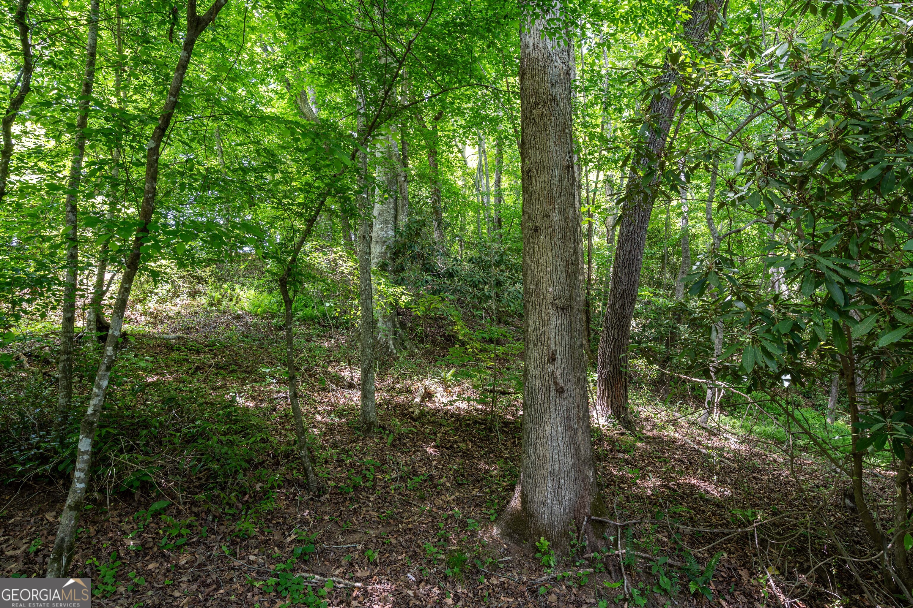 3674 Us 19 Property Photo 34