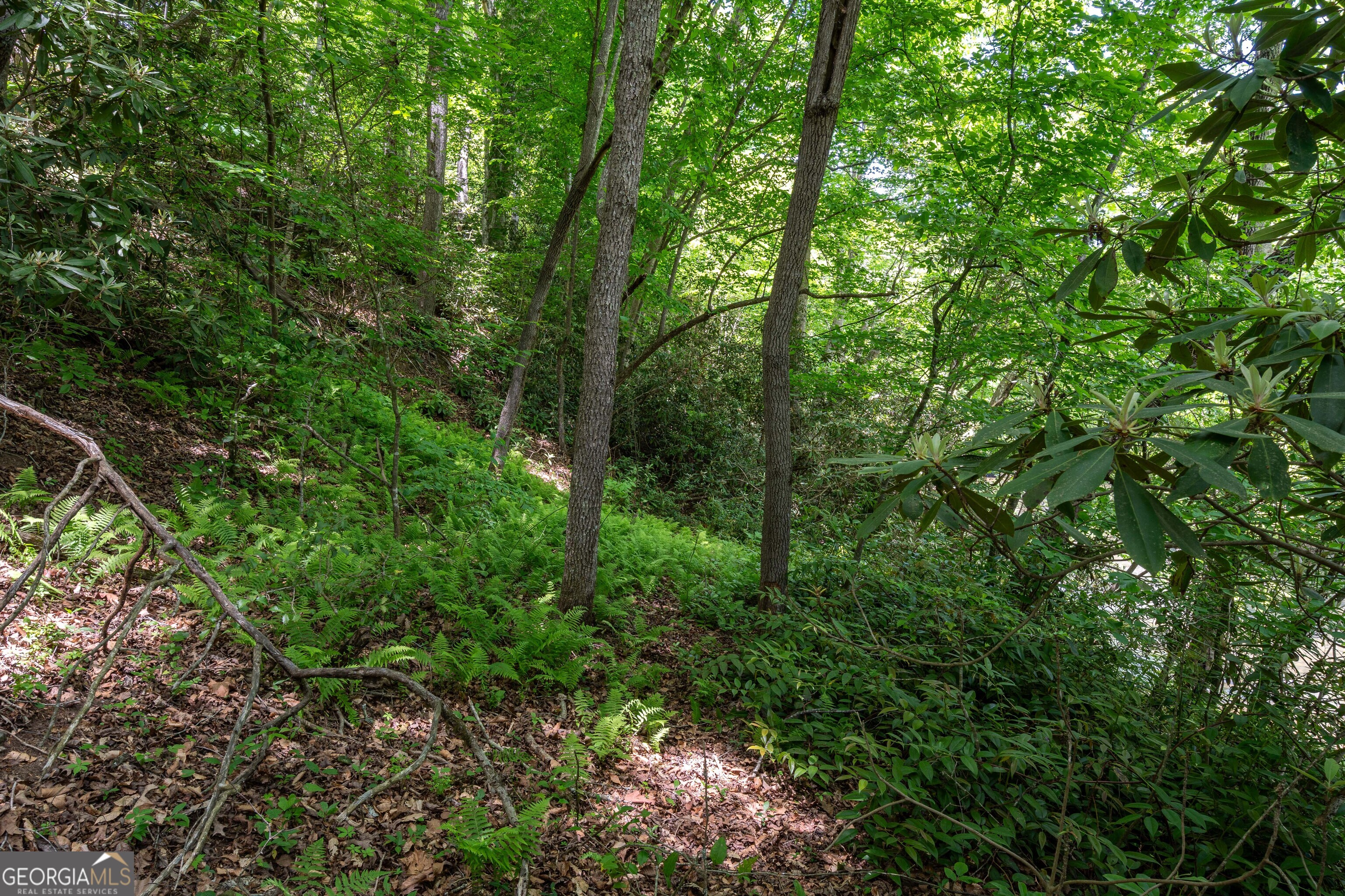 3674 Us 19 Property Photo 35