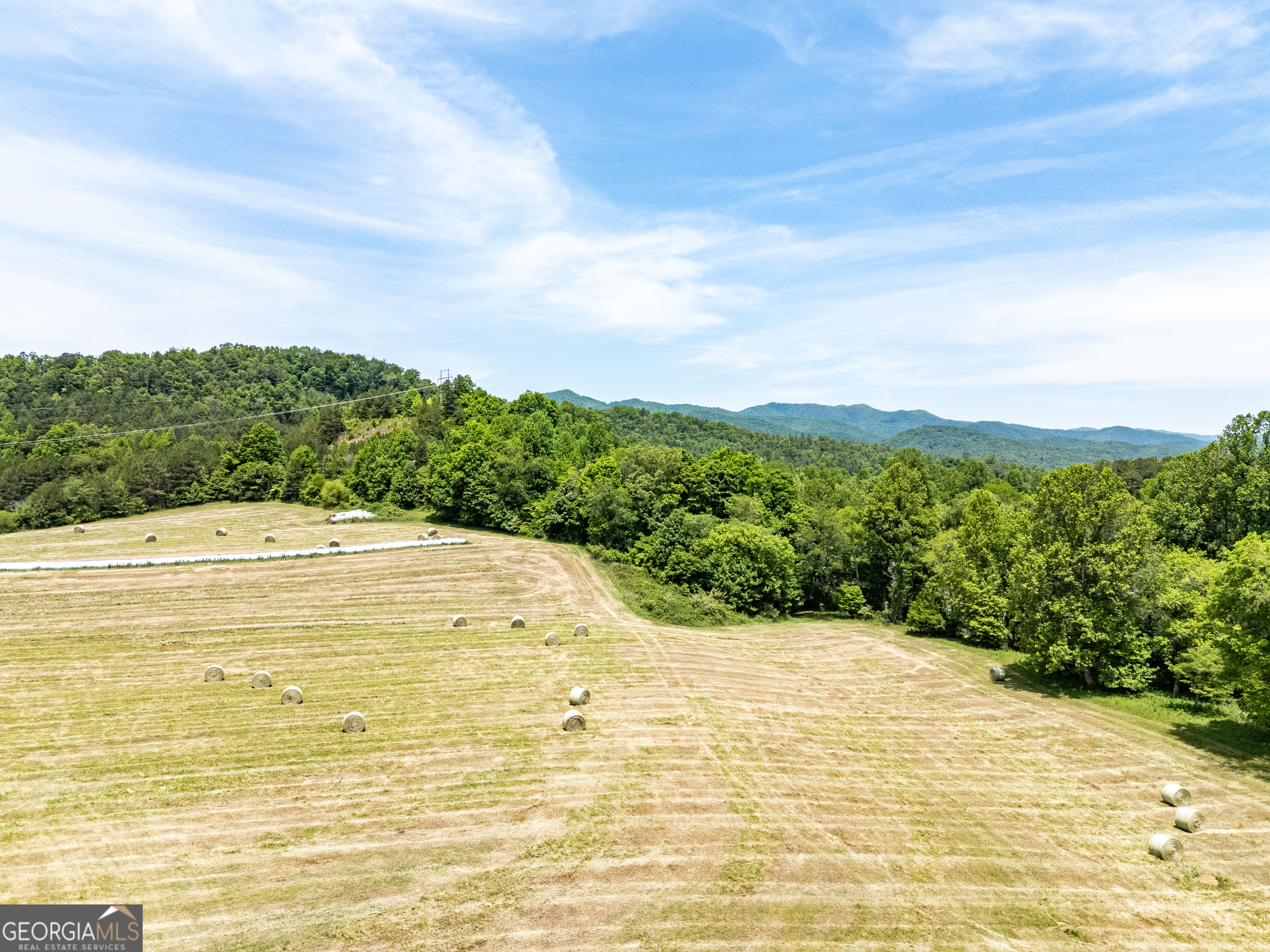 3674 Us 19 Property Photo 44