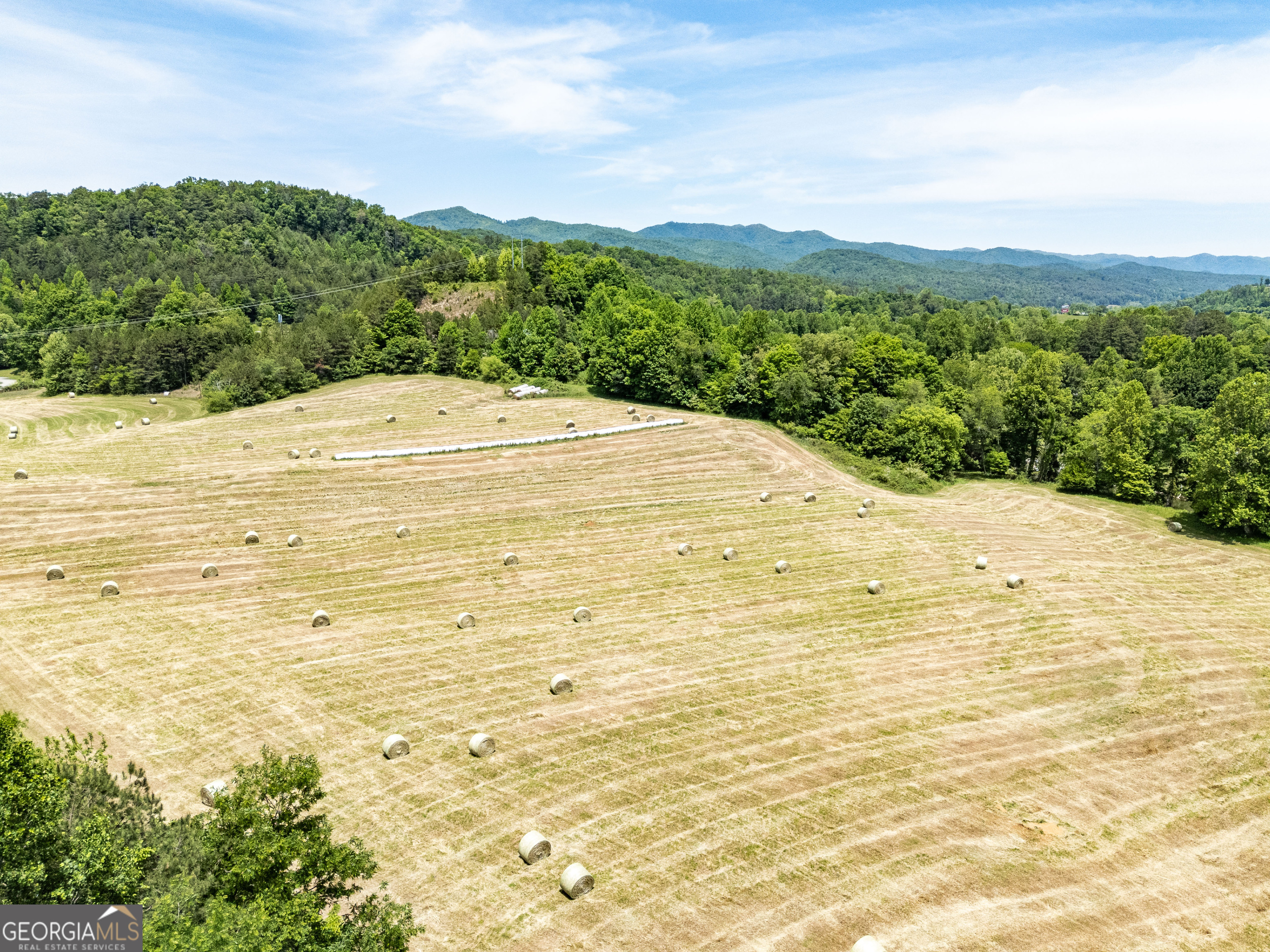 3674 Us 19 Property Photo 45