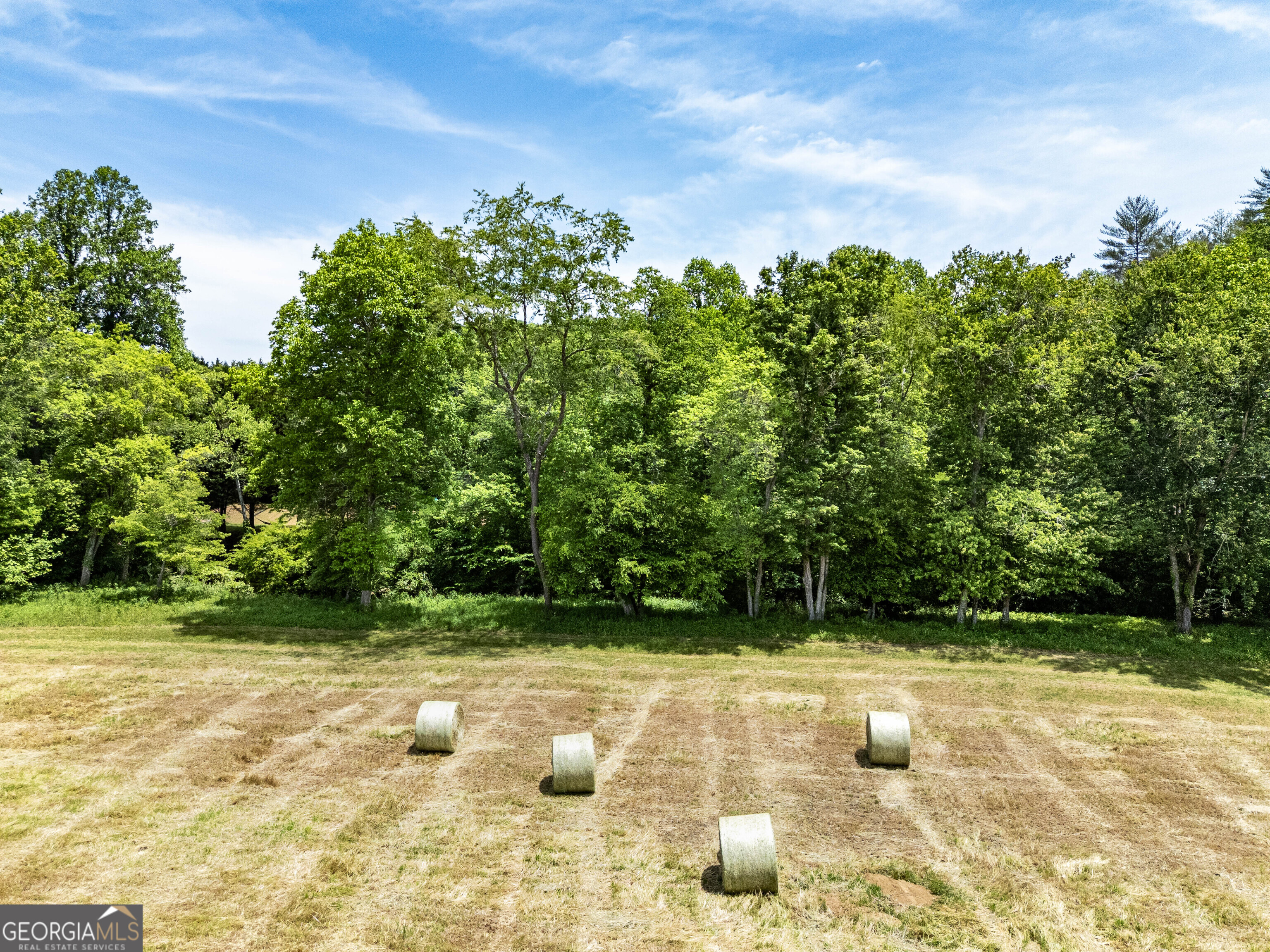3674 Us 19 Property Photo 48