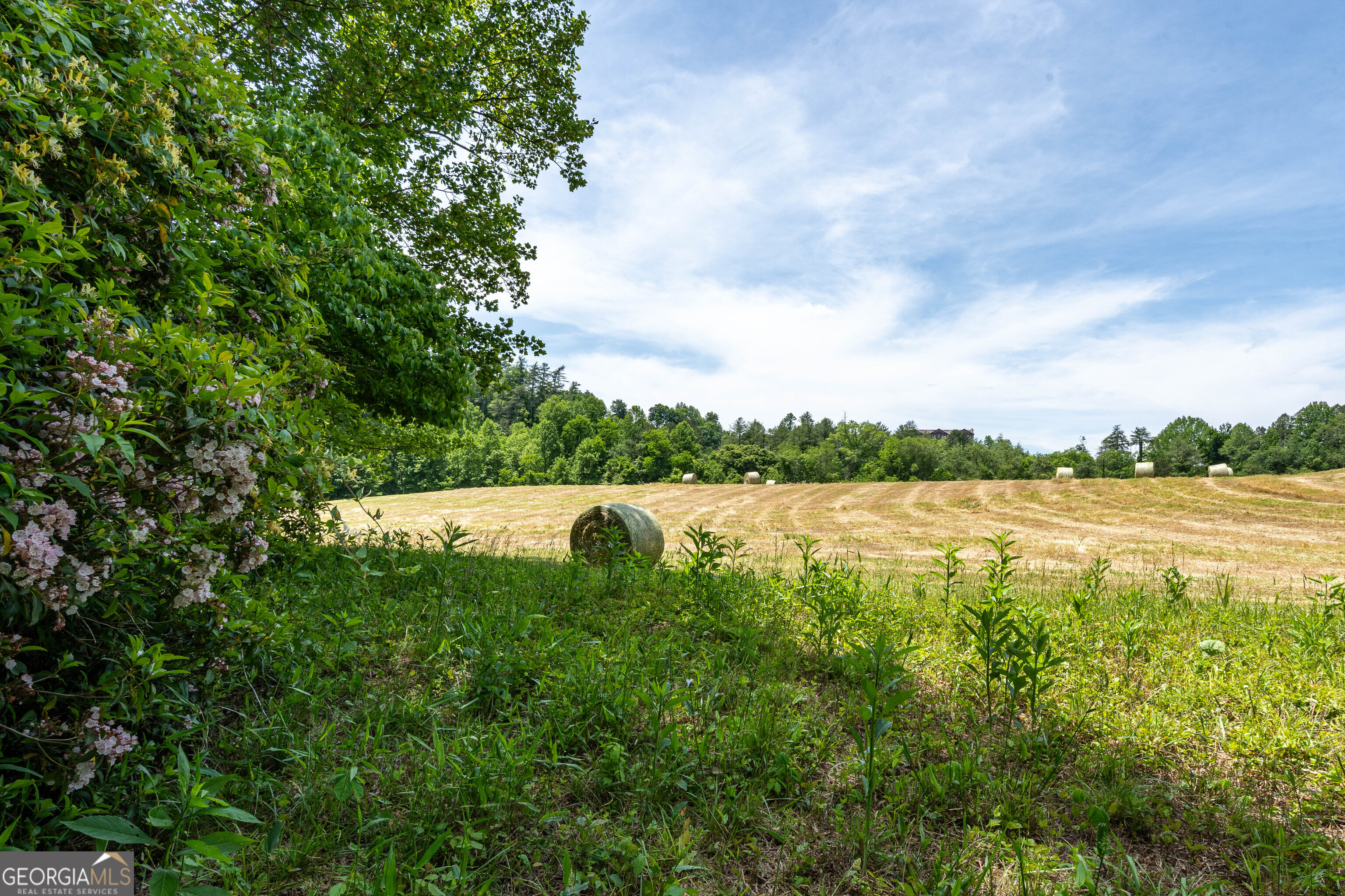 3674 Us 19 Property Photo 53