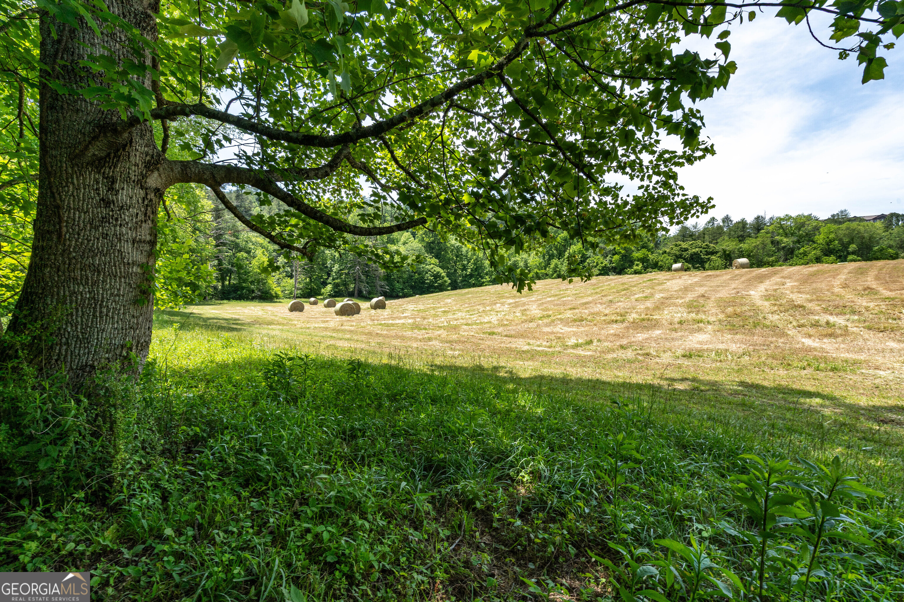 3674 Us 19 Property Photo 54